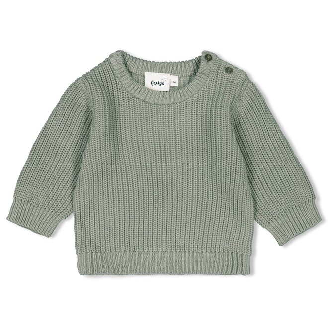 Feetje Sweater Gebreid Little Forest Friends Mint