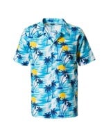 Hawaii blouse blauw