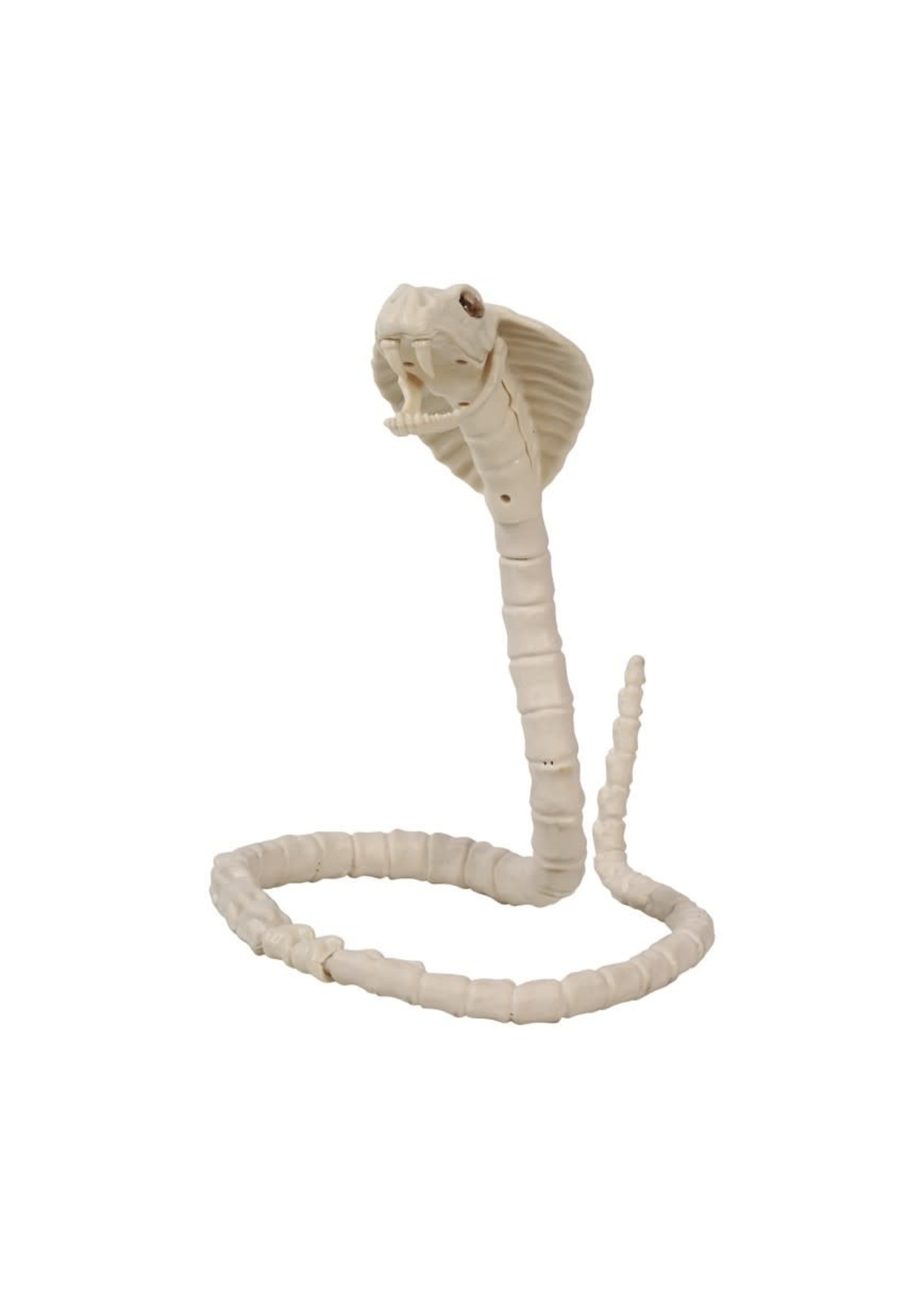 Feestkleding Breda Cobra skelet 100 cm