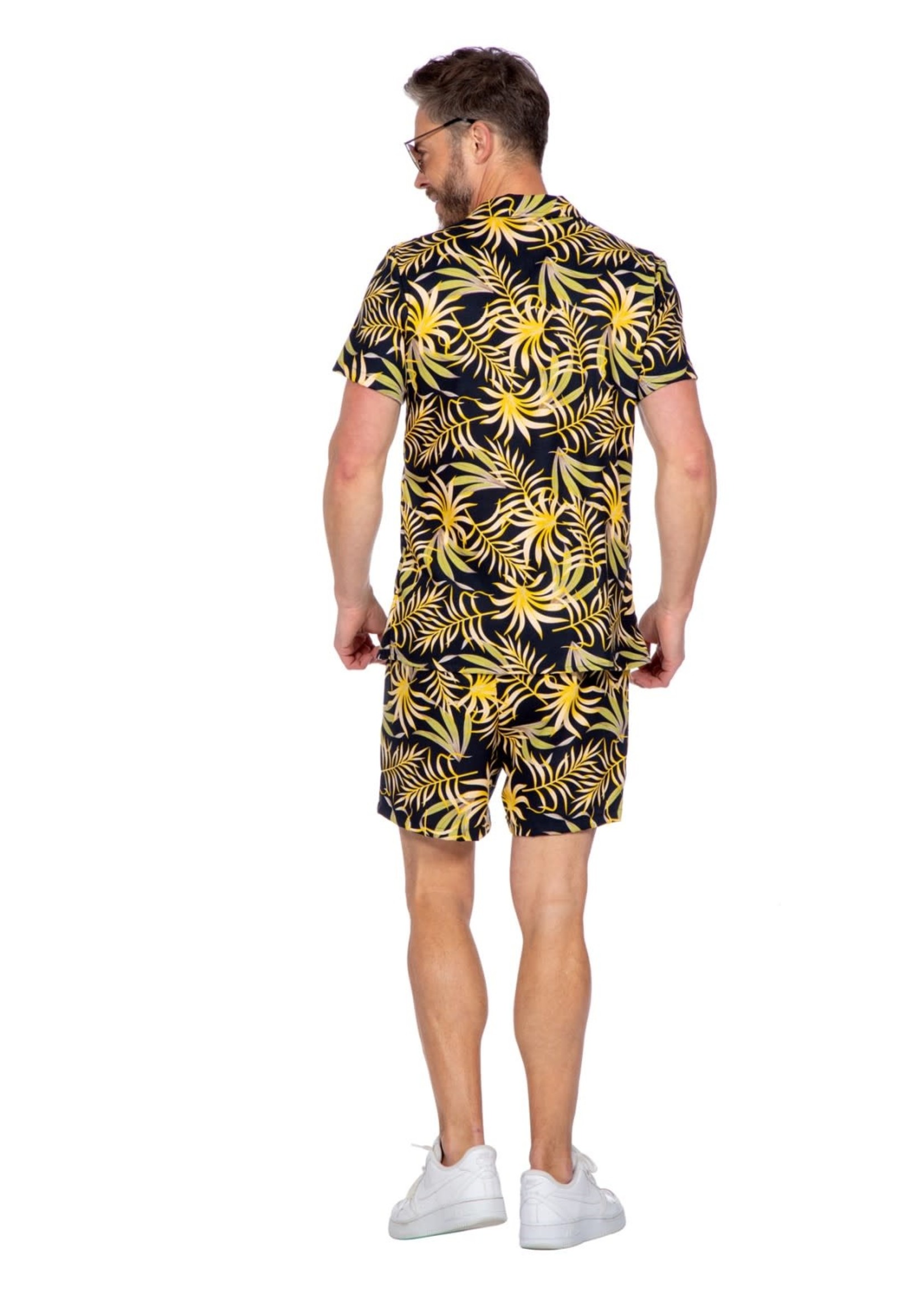 Wilbers & Wilbers Duo set festival jungle