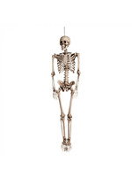 Boland Skelet hangend 160 cm