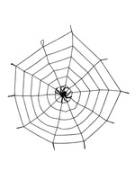 Feestkleding Breda Spinnenweb elastisch met spin