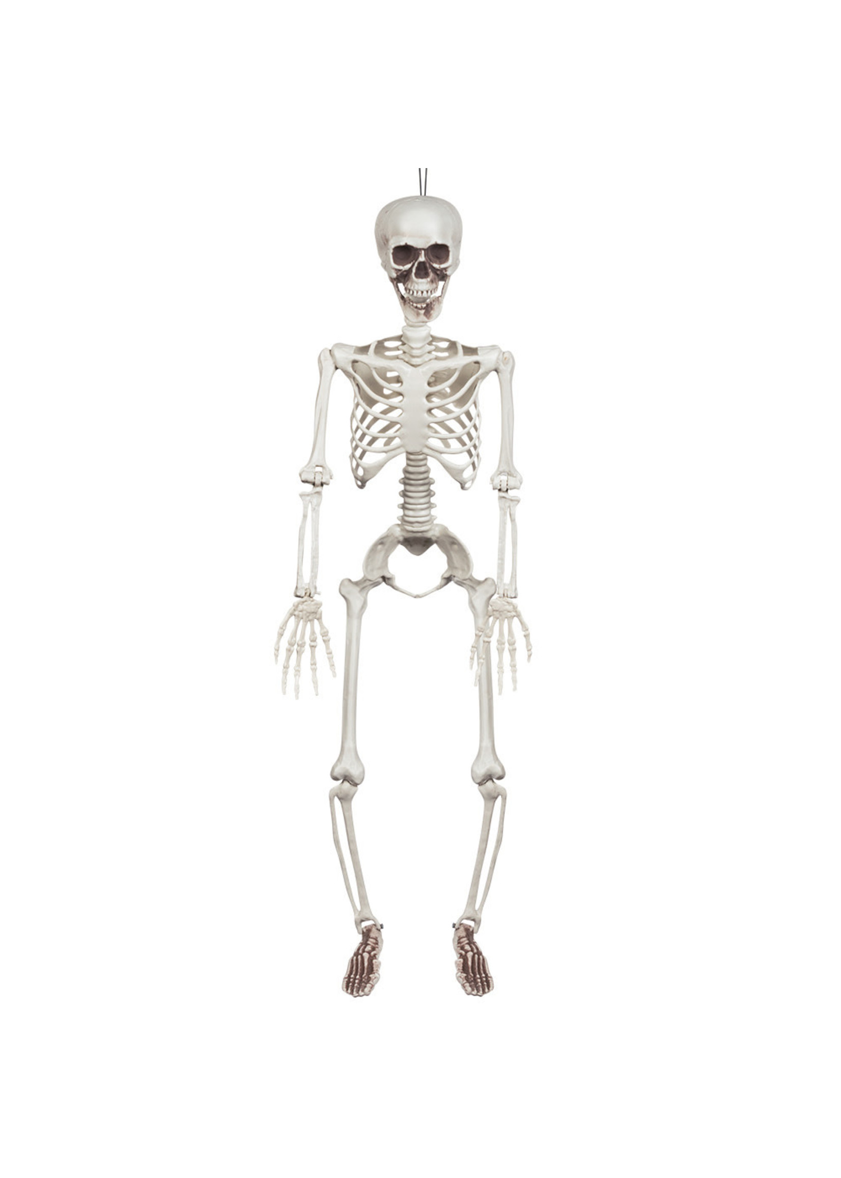 Feestkleding Breda Skelet 90 cm