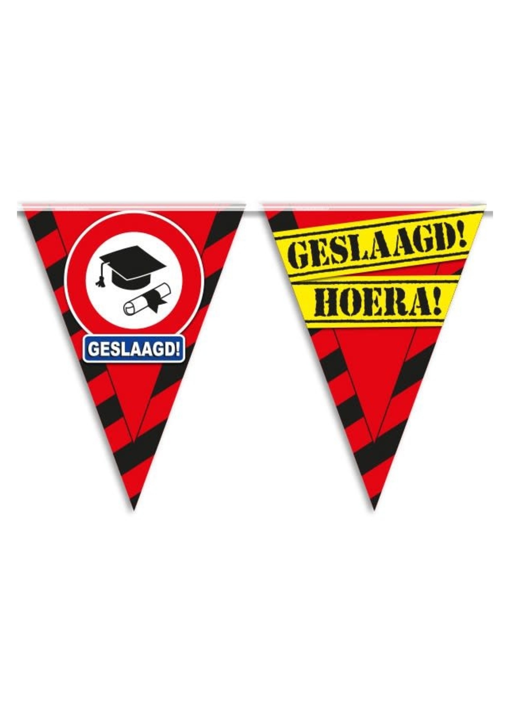 Feestkleding Breda Vlaggenlijn geslaagd