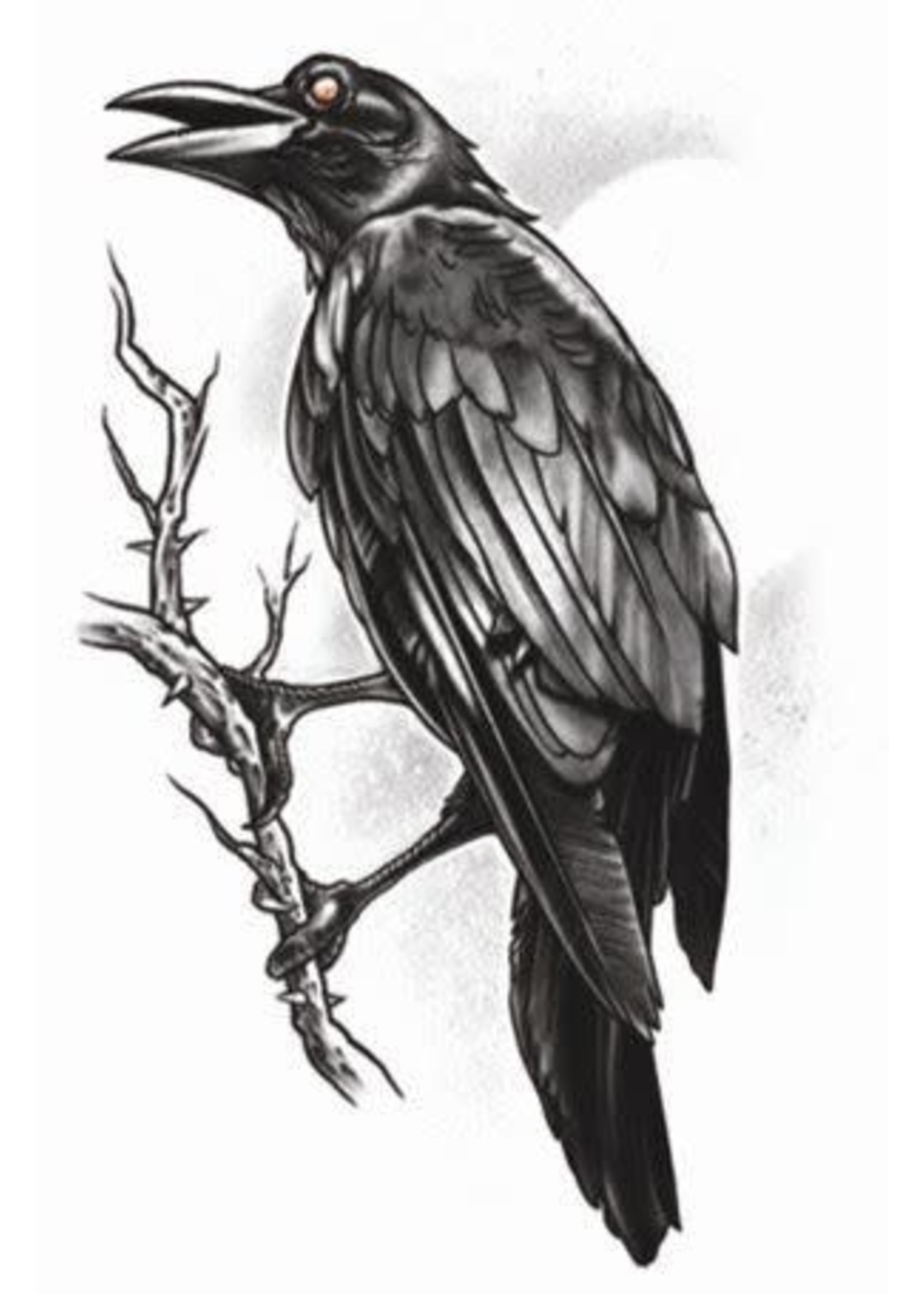 Feestkleding Breda Goth Tattoos The Raven
