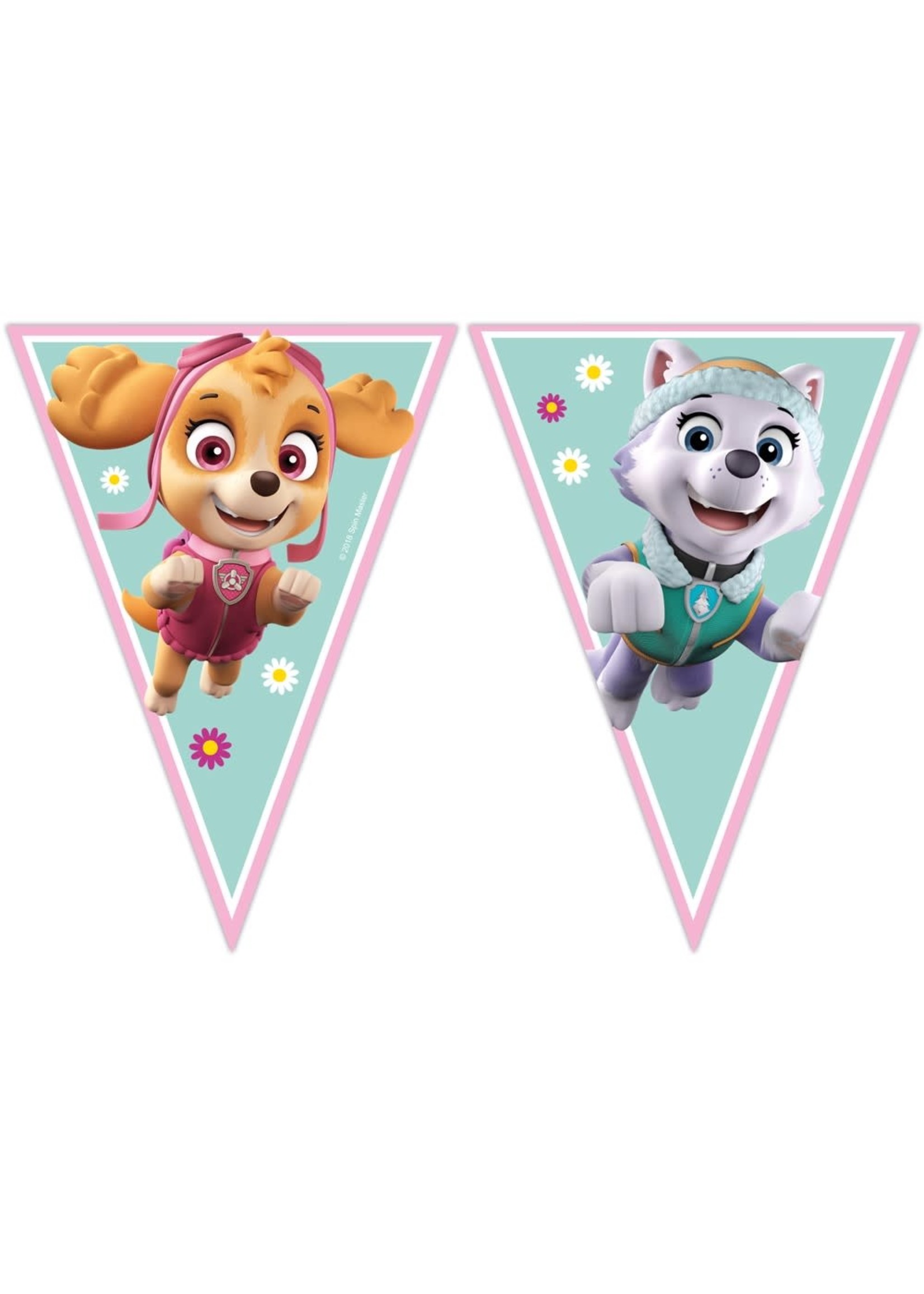 Feestkleding Breda Vlaggenlijn Paw Patrol Skye & Everest