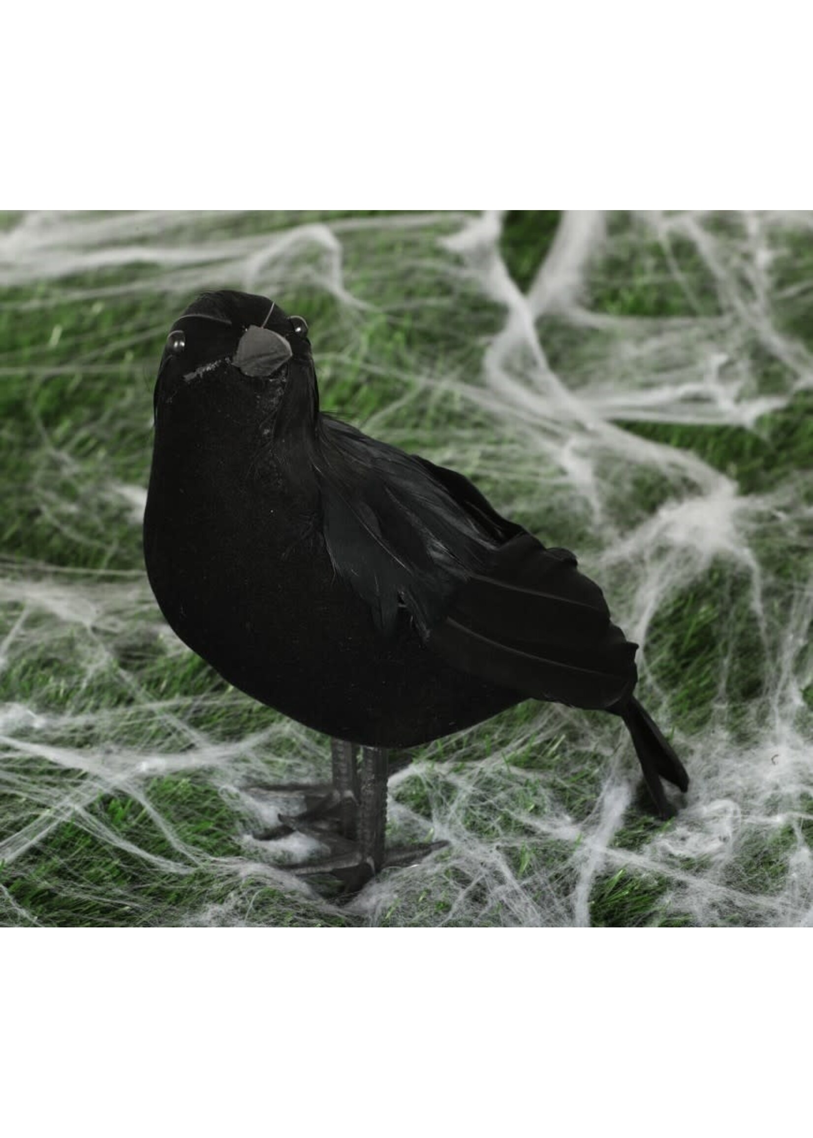 Fiestas Guirca Zwarte kaai 25cm