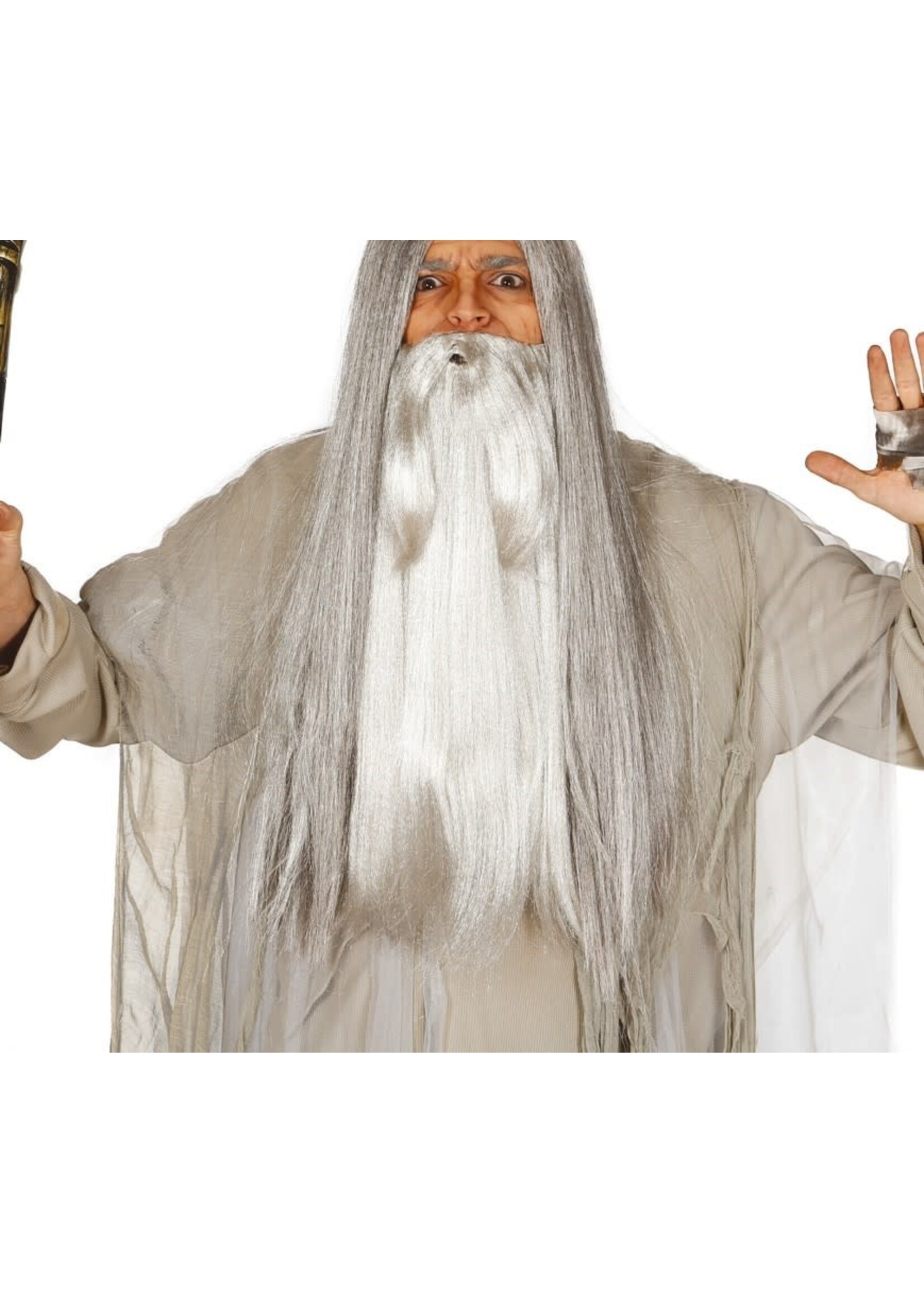 Feestkleding Breda Grijze lange baard