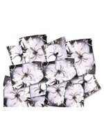 Fiestas Guirca Spinnenwebben met spinnen 12 stuks