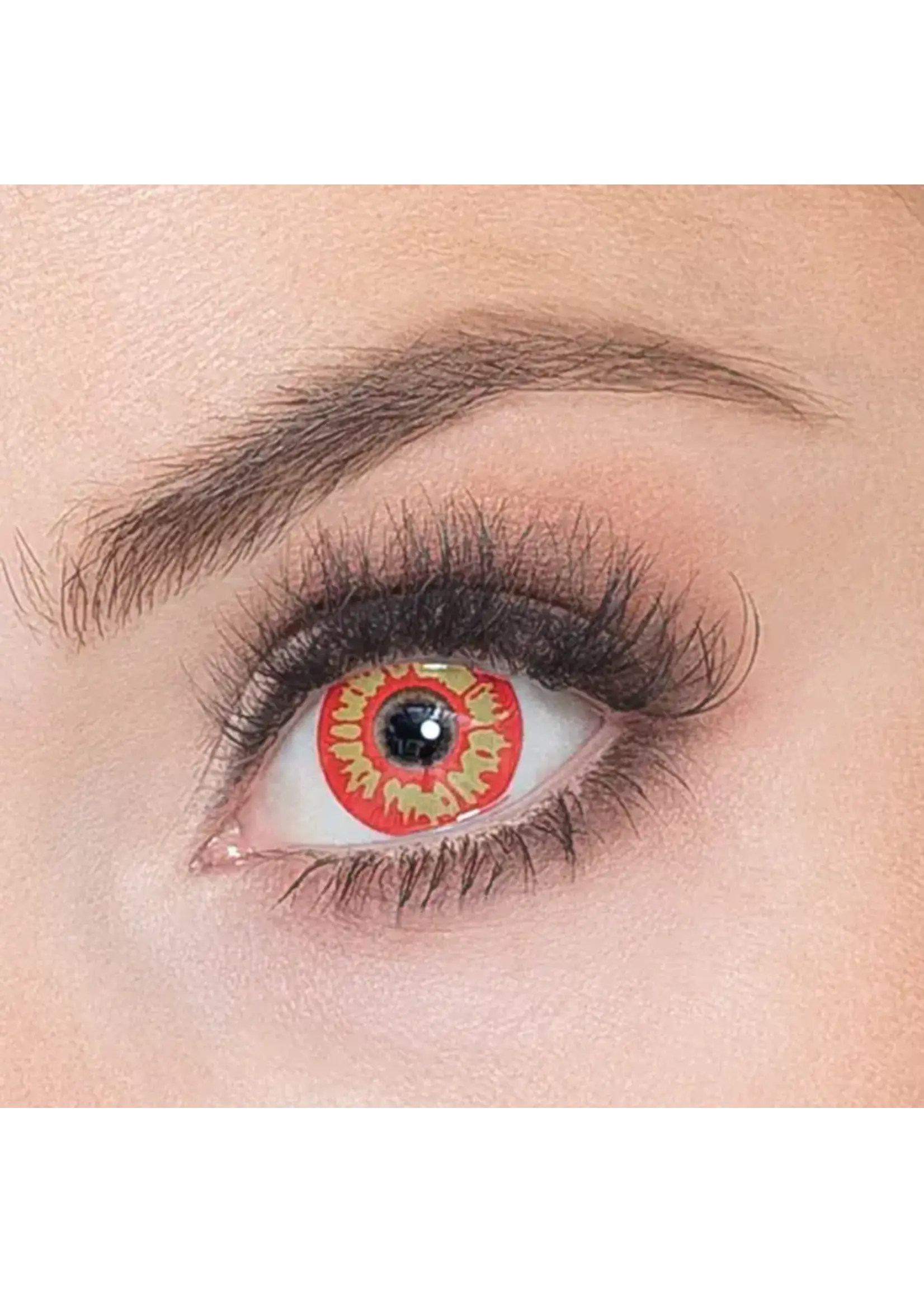 Boland 3-maandslenzen orc