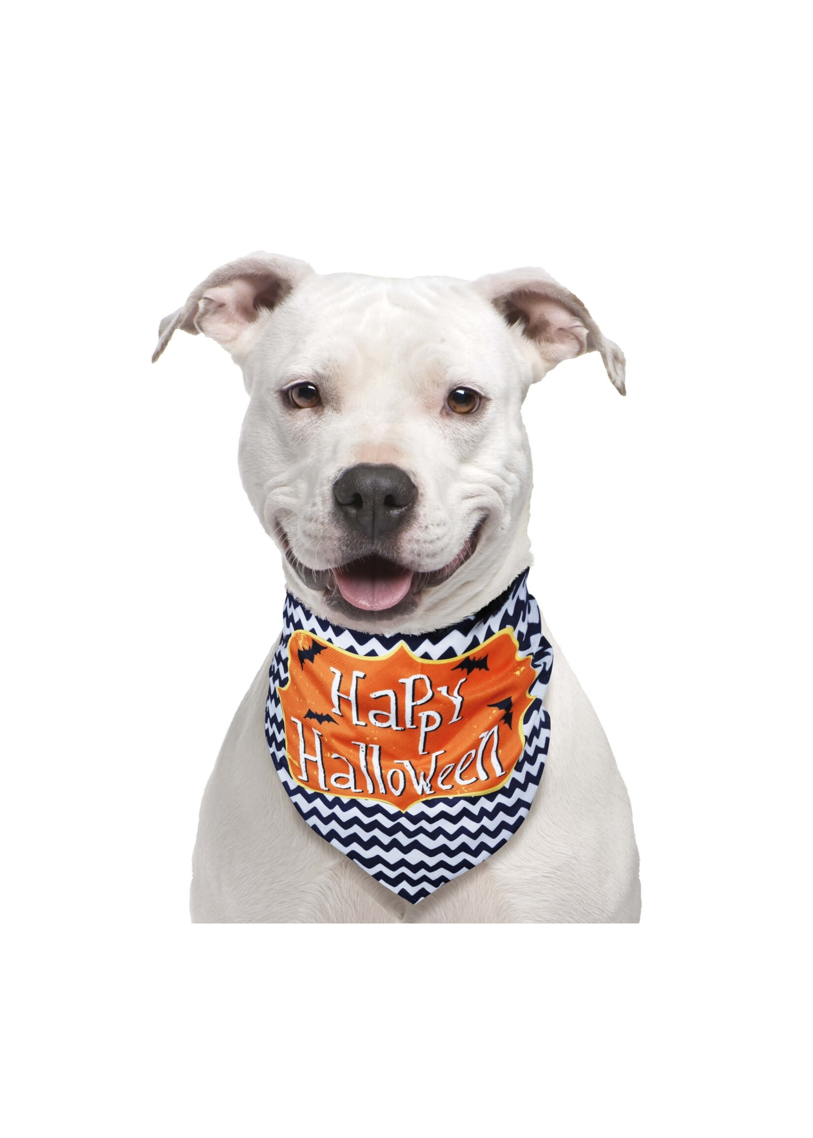 Feestkleding Breda Halloween honden sjaal