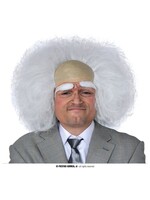 Feestkleding Breda Pruik Genie