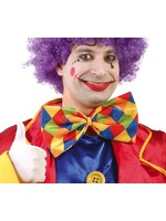 Feestkleding Breda Clown vlinderdas