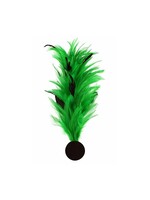 Thetru Verenpluim groen