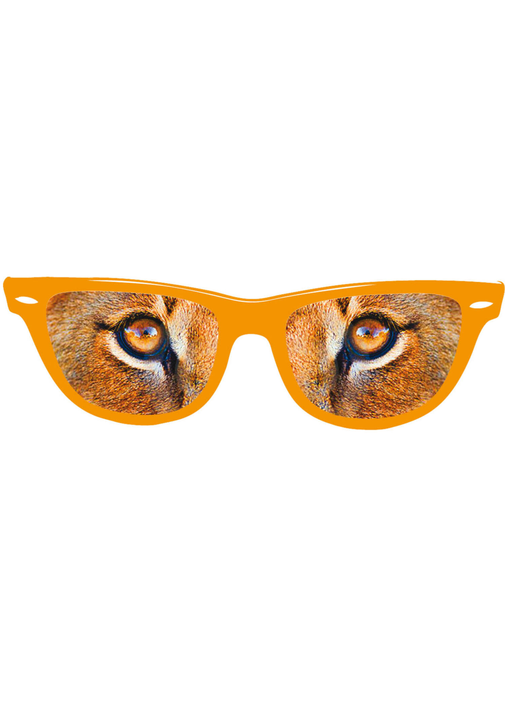 Feestkleding Breda Bril leeuwenogen oranje