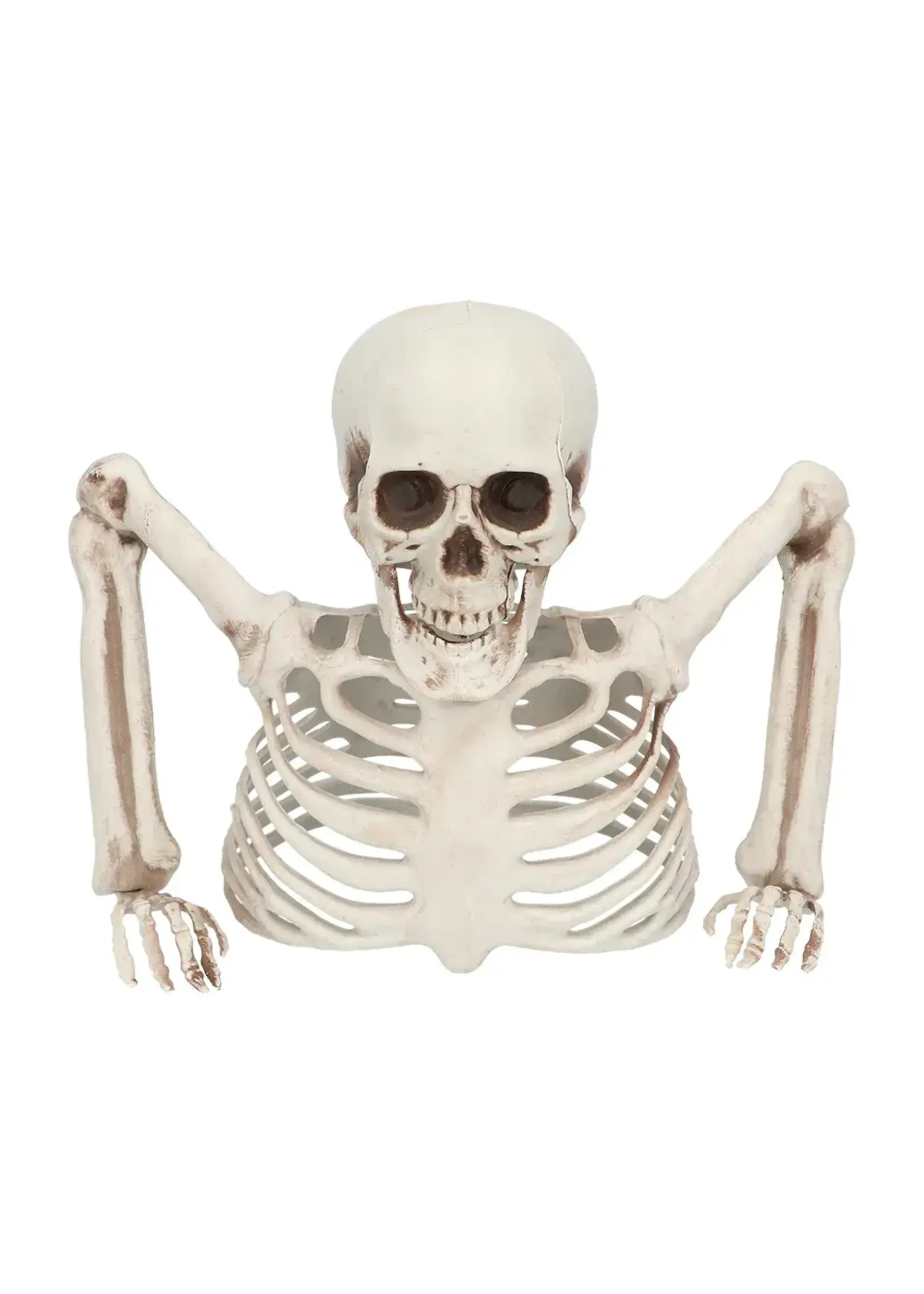 Boland Skelet Groundbreaker