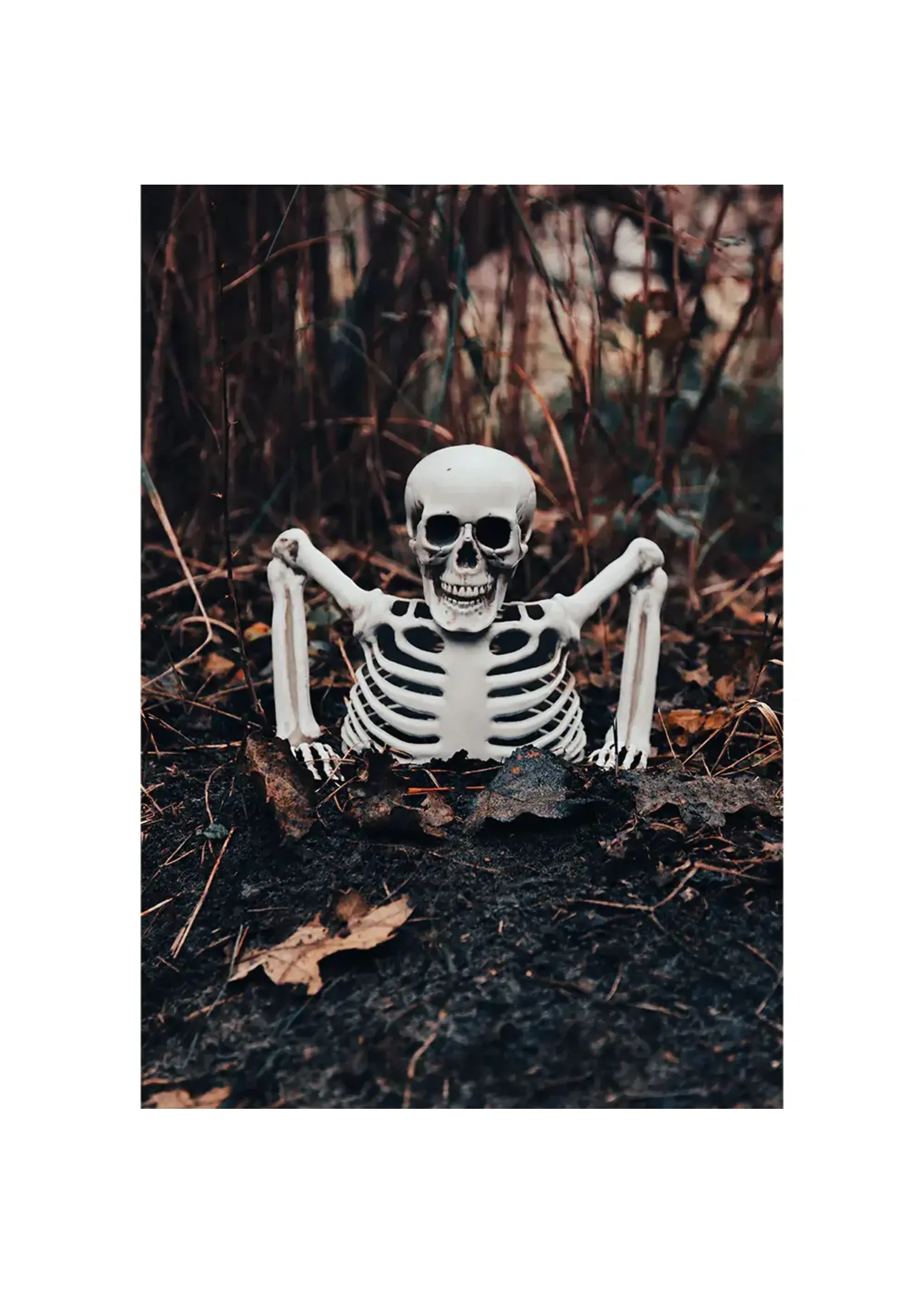 Boland Skelet Groundbreaker