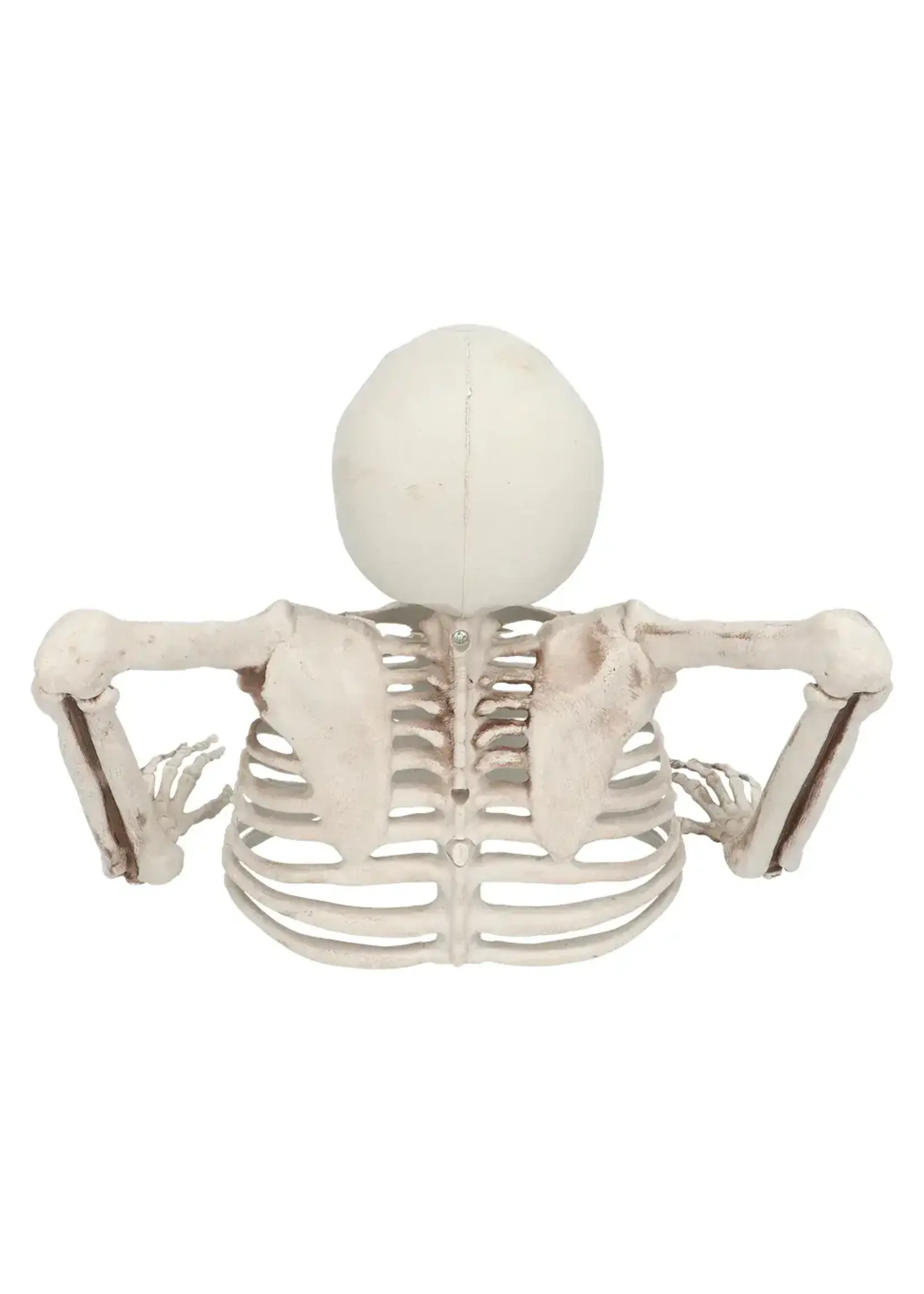 Boland Skelet Groundbreaker