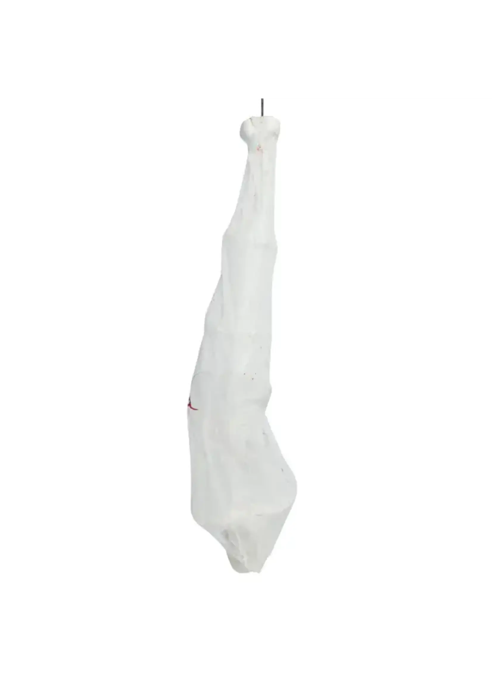 Boland Decoratie Spinnencocon (165 cm)