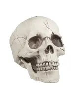 Feestkleding Breda Schedel met beweegbare kaak