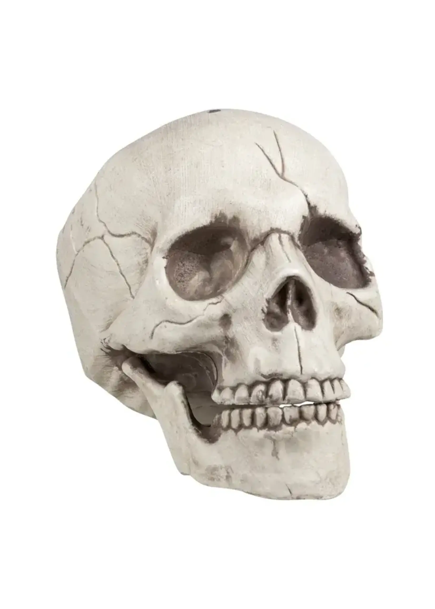 Feestkleding Breda Schedel met beweegbare kaak