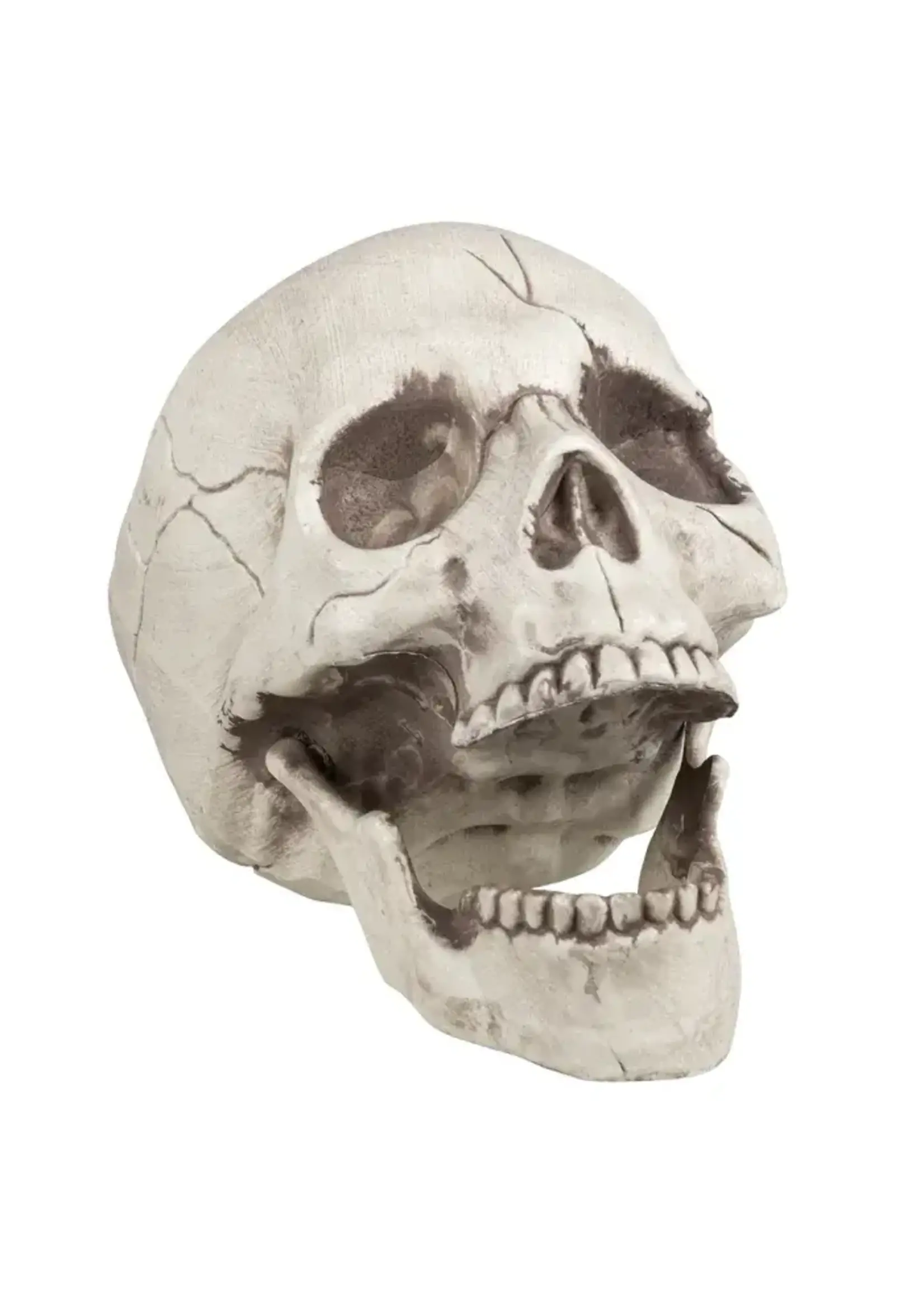 Feestkleding Breda Schedel met beweegbare kaak