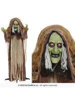 Feestkleding Breda Klokkenluiderheks 145 cm