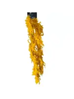 Wilbers & Wilbers Boa met lurex goud/zwart 180cm