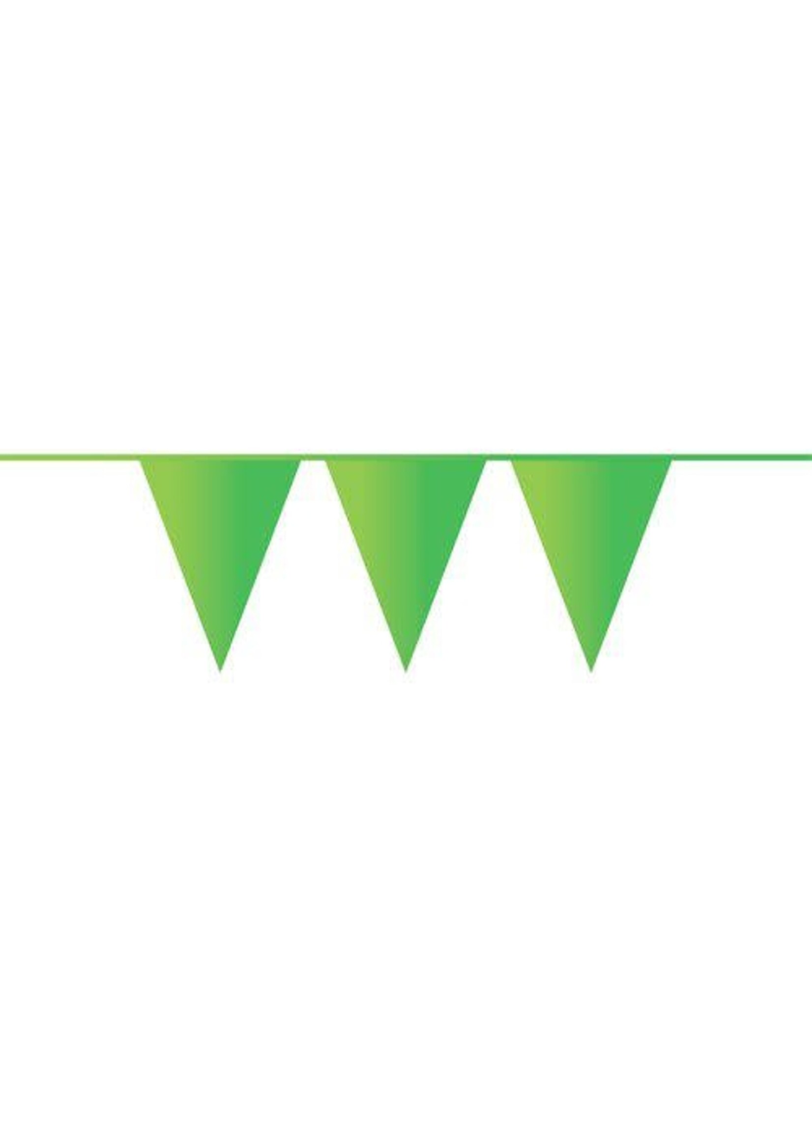 Feestkleding Breda Vlaggenlijn PE lichtgroen (10m)
