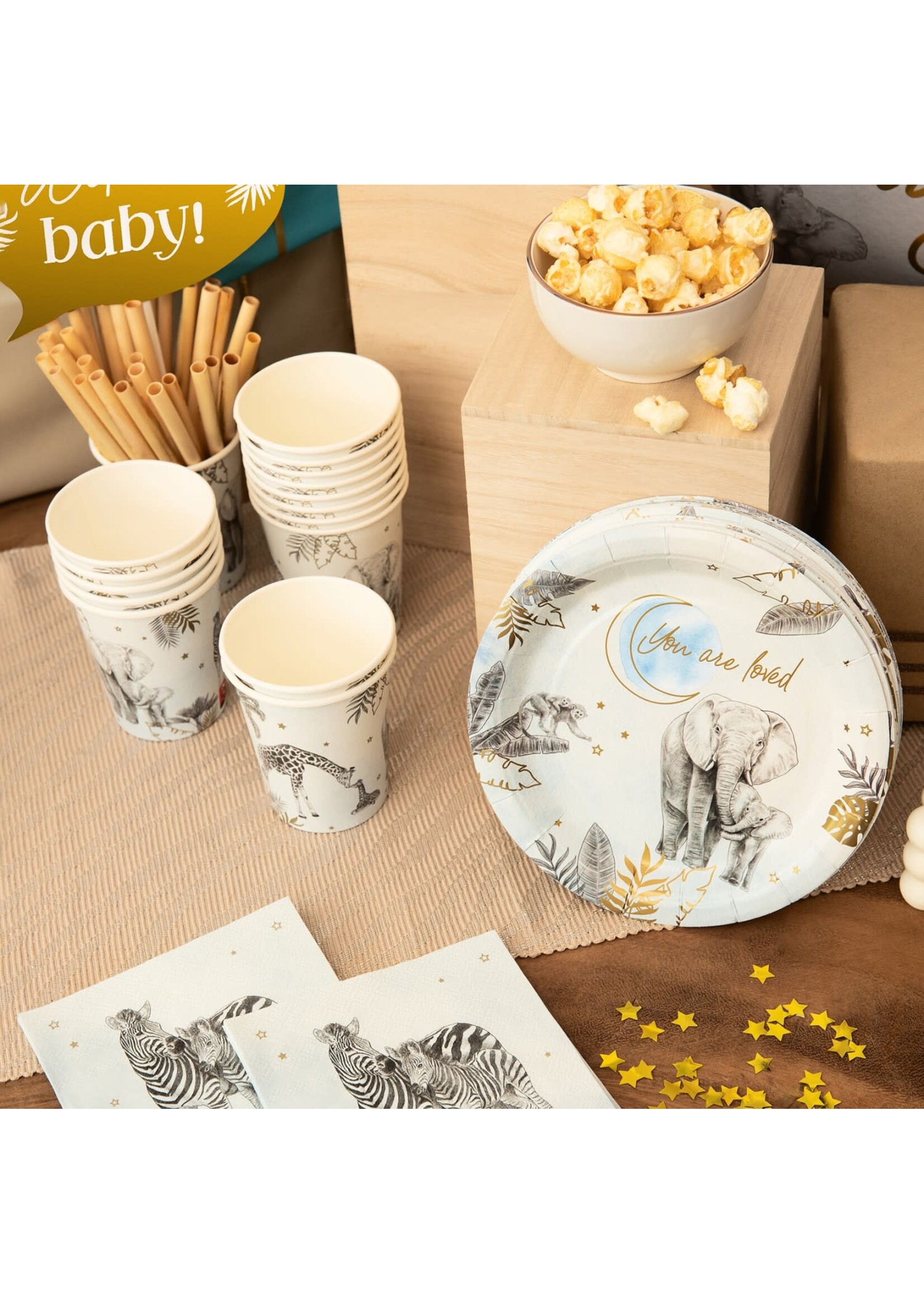 Haza-Witbaard Foto props met babyshowerthema