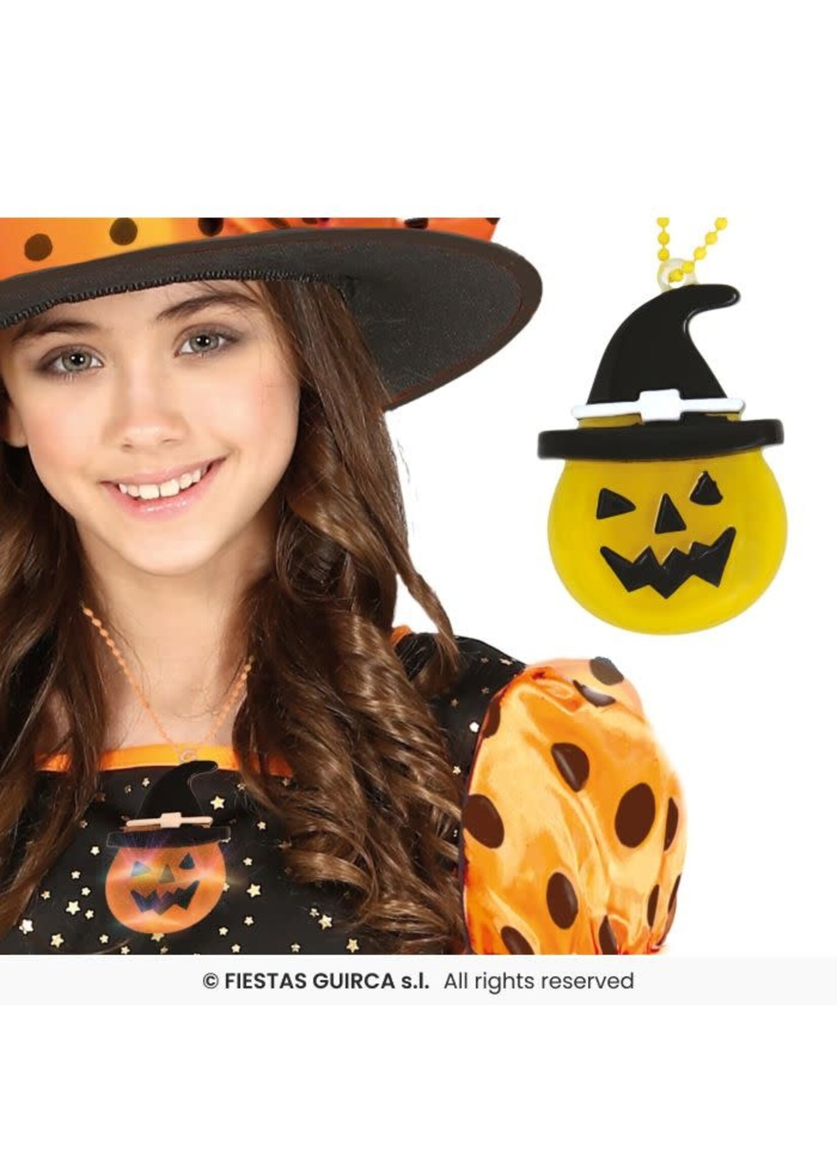 Fiestas Guirca Pompoenketting met leds 5 cm