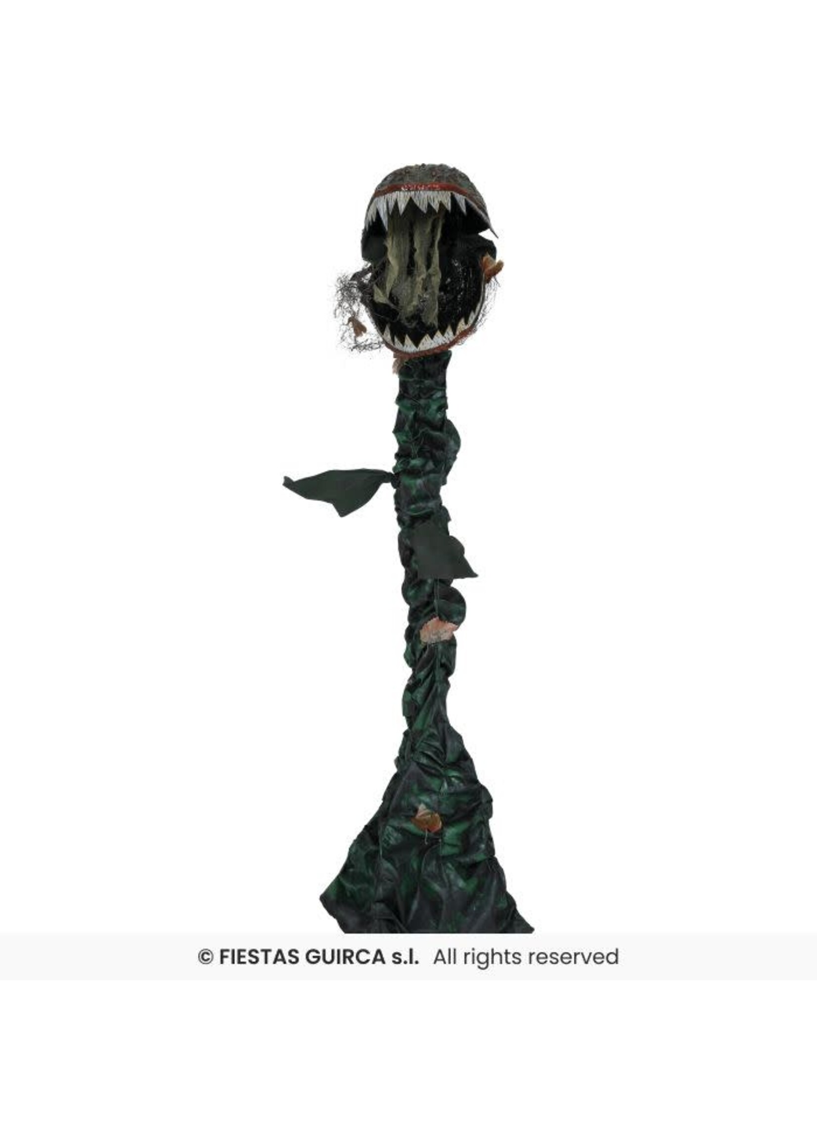 Fiestas Guirca Vleesetende plant met licht, geluid en beweging