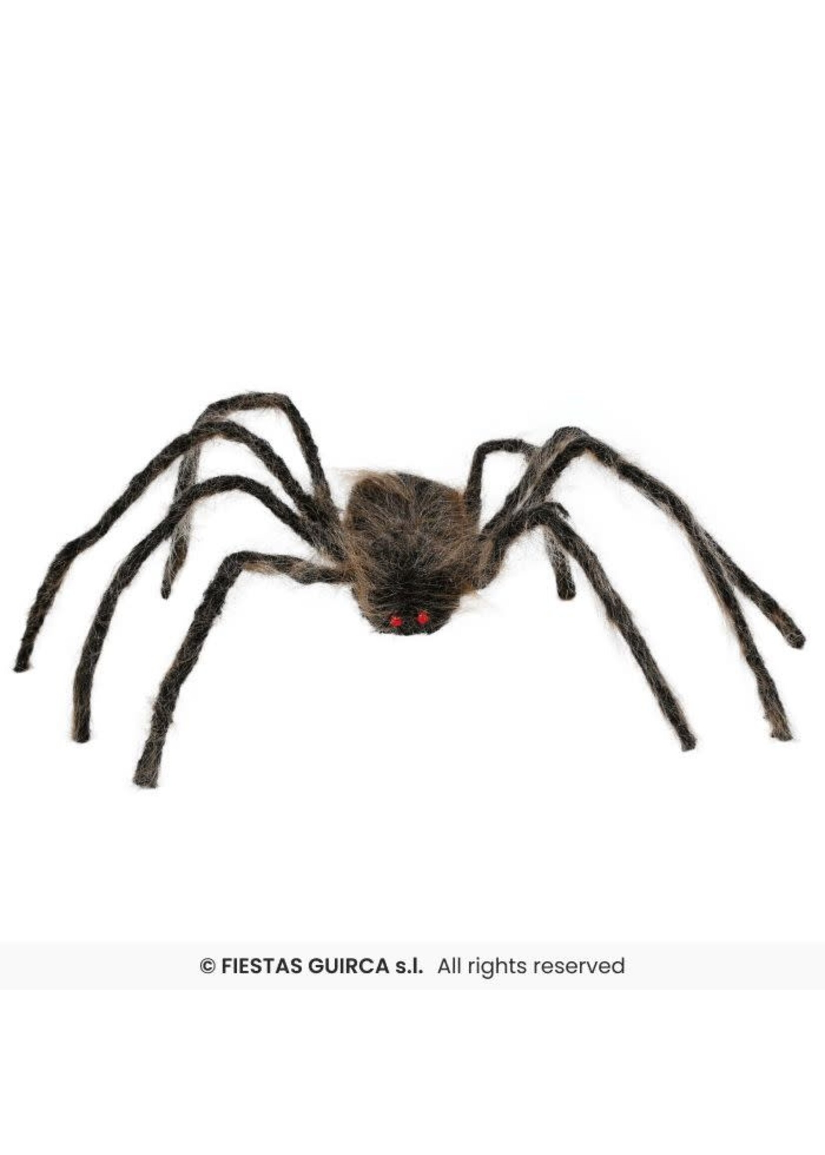 Fiestas Guirca Enge bruine spin, 75cm