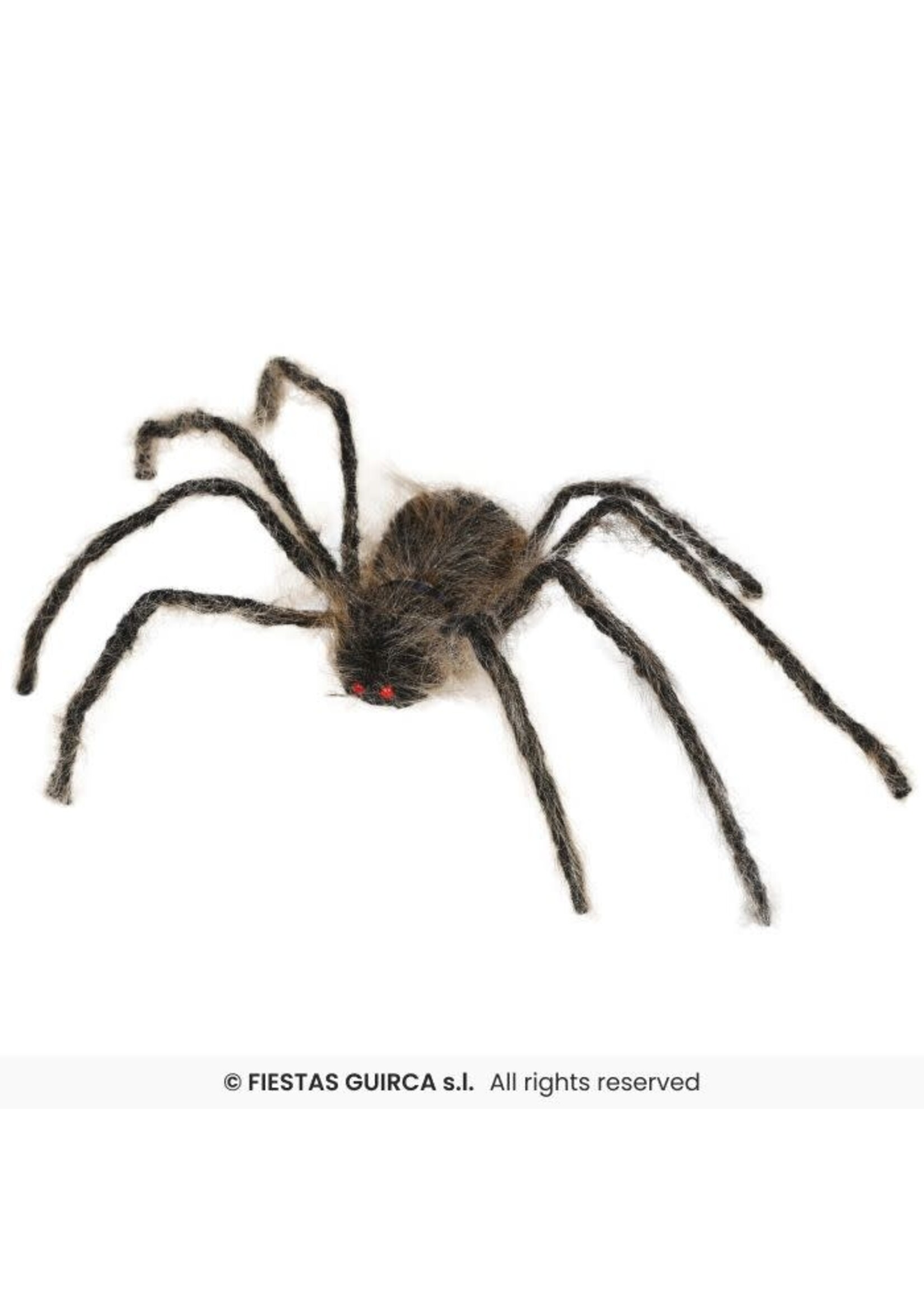 Fiestas Guirca Enge bruine spin, 75cm