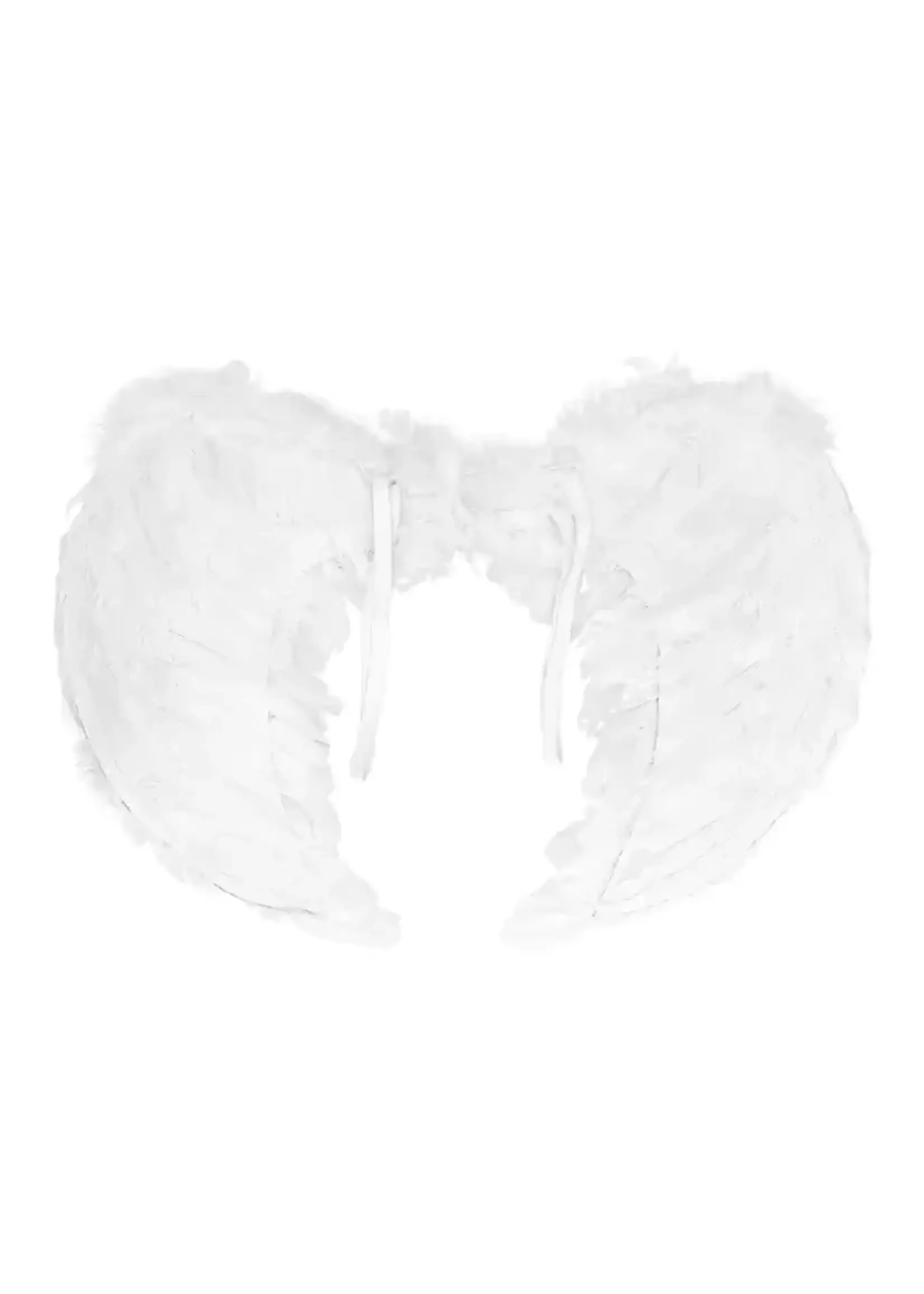 Boland Engelenvleugels Elysia wit (60 x 40 cm)