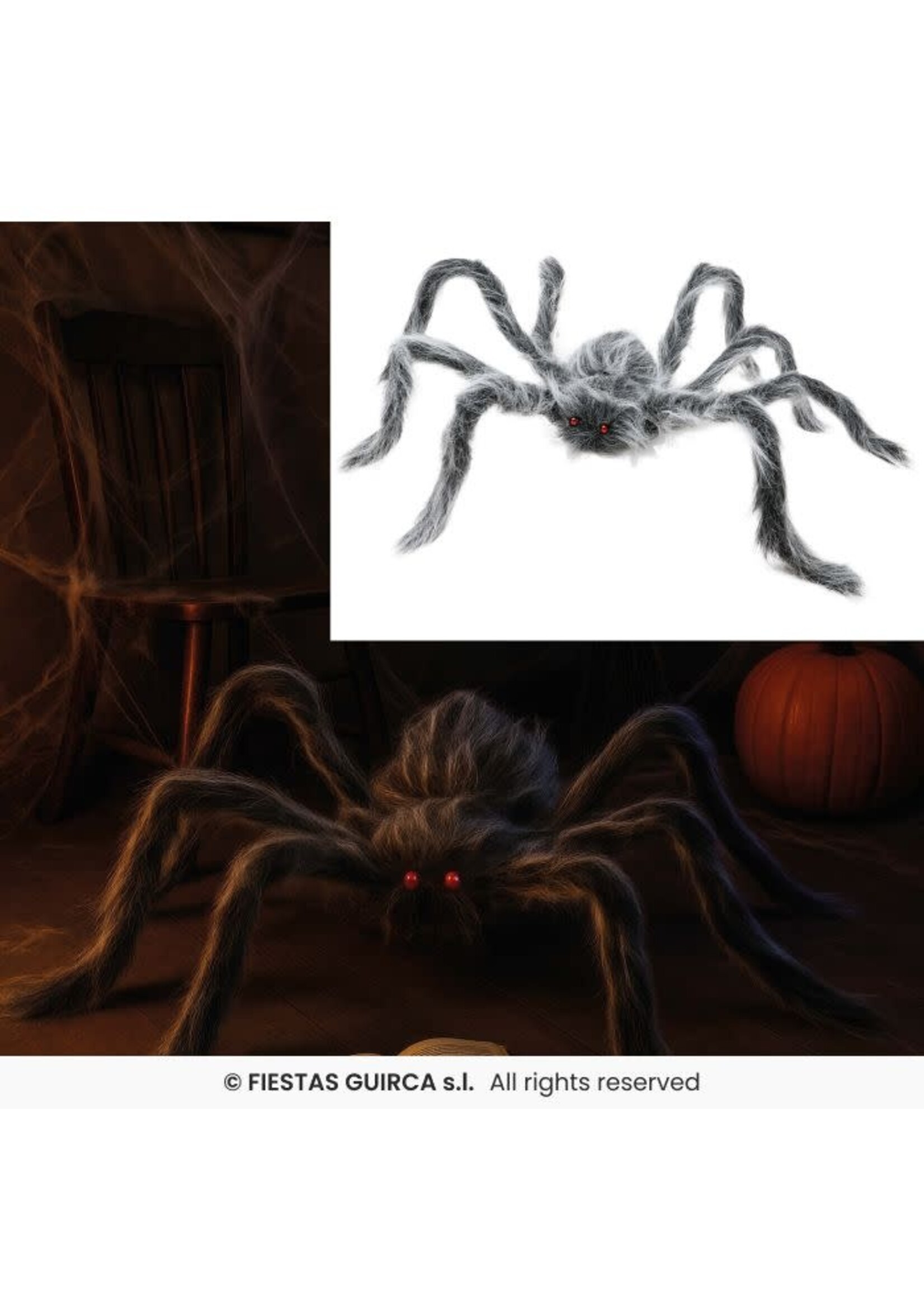 Fiestas Guirca Grijze harige spin 70 cm