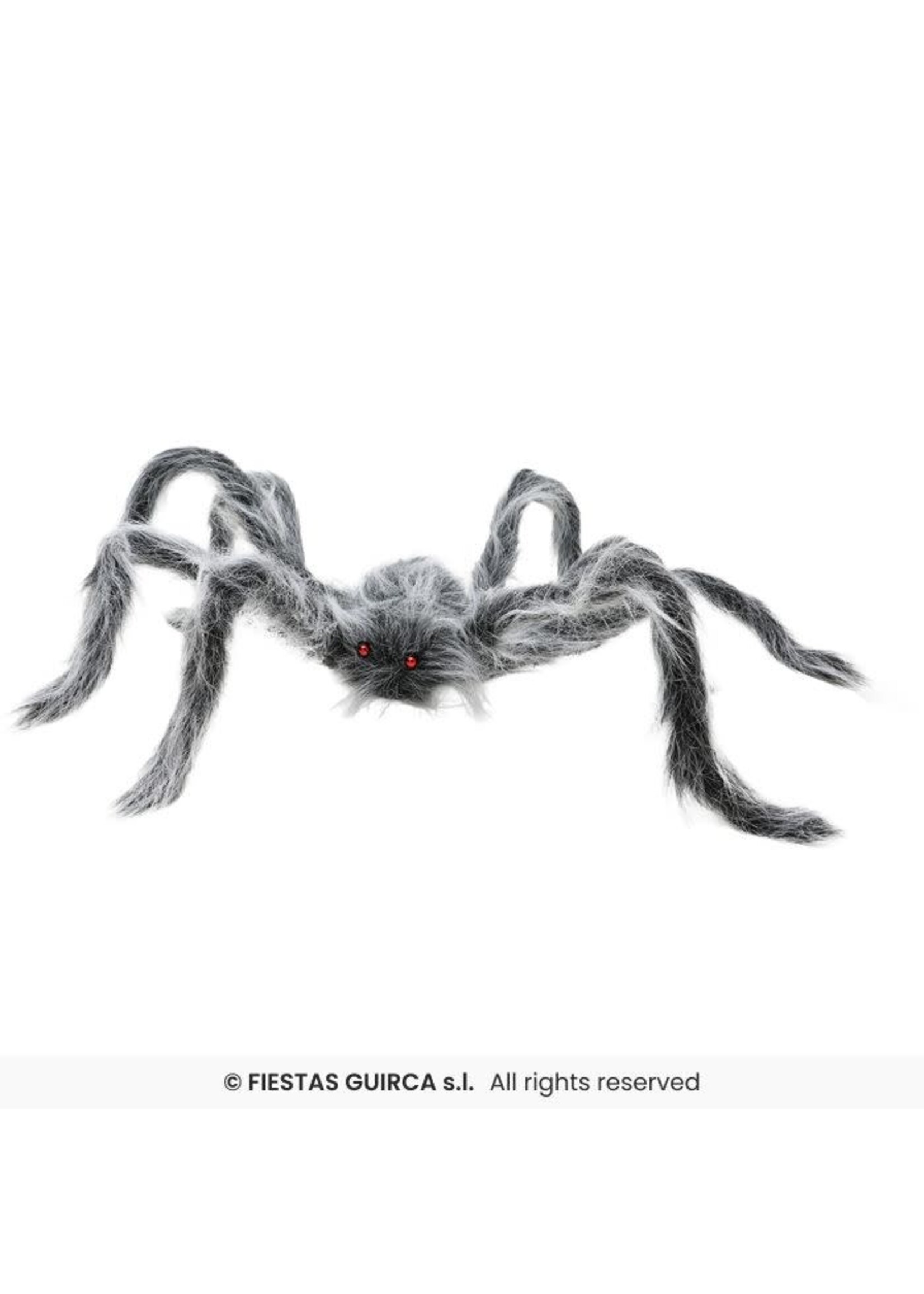 Fiestas Guirca Grijze harige spin 70 cm
