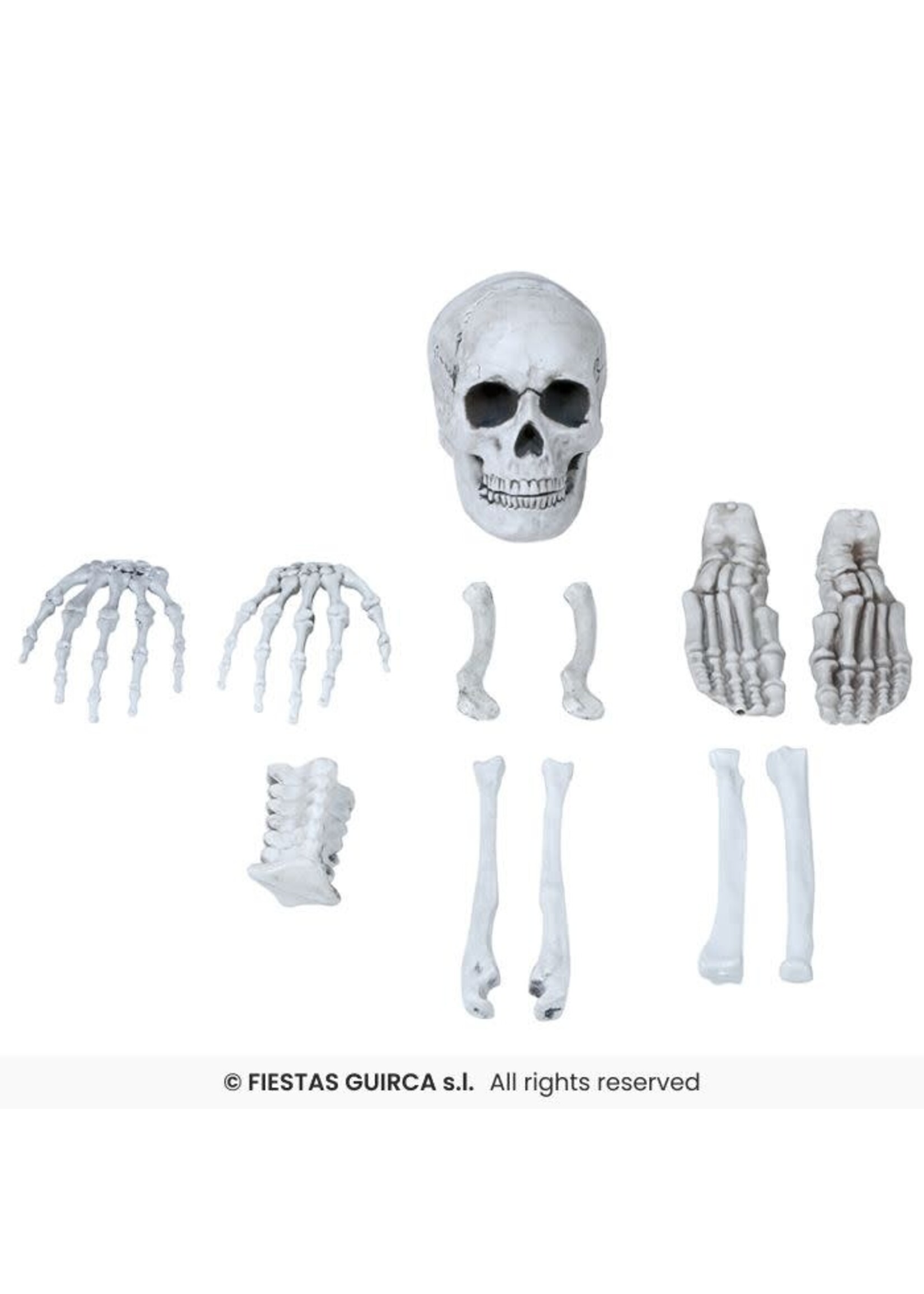 Fiestas Guirca Set van 12 botten