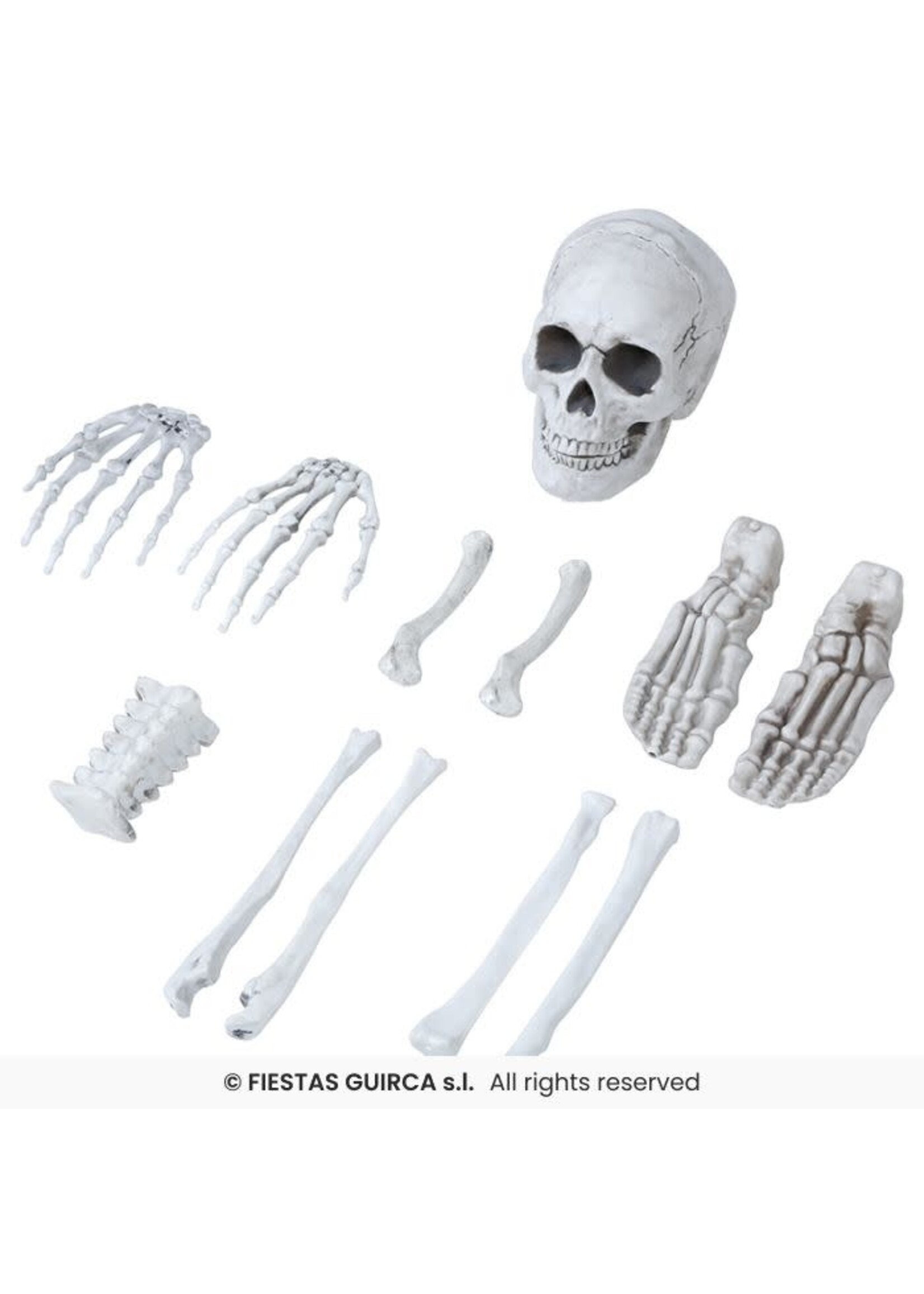 Fiestas Guirca Set van 12 botten