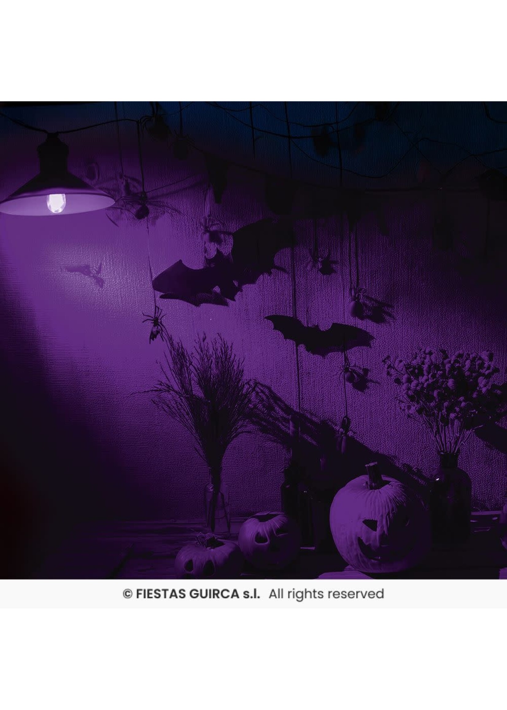 Fiestas Guirca Paarse lamp 5W E27