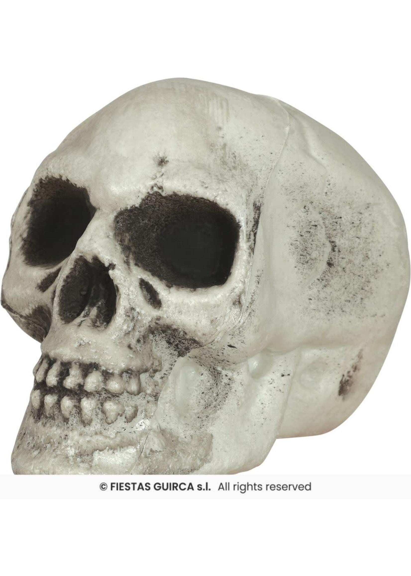 Fiestas Guirca Set van 6 schedels 8cm