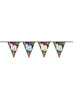 Haza-Witbaard Vlaggenlijn 18 jaar