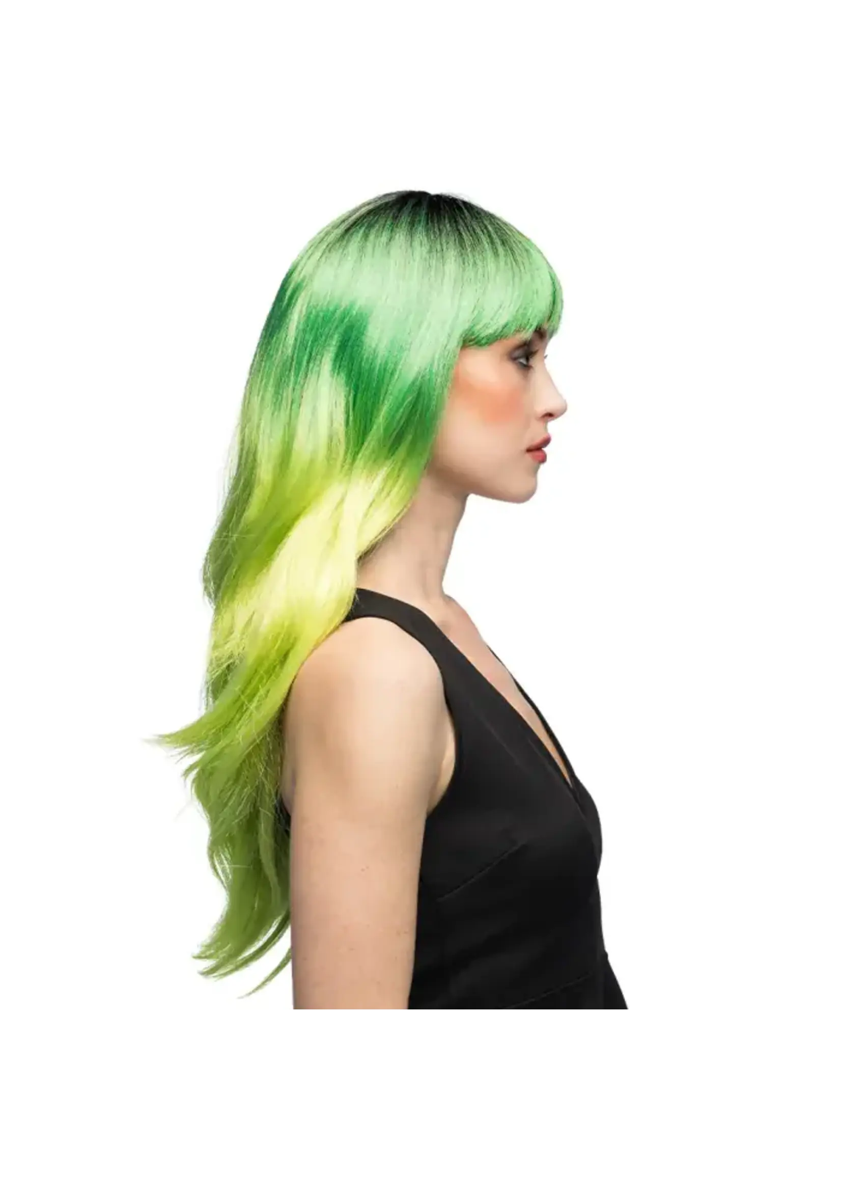 Feestkleding Breda Pruik Mystic