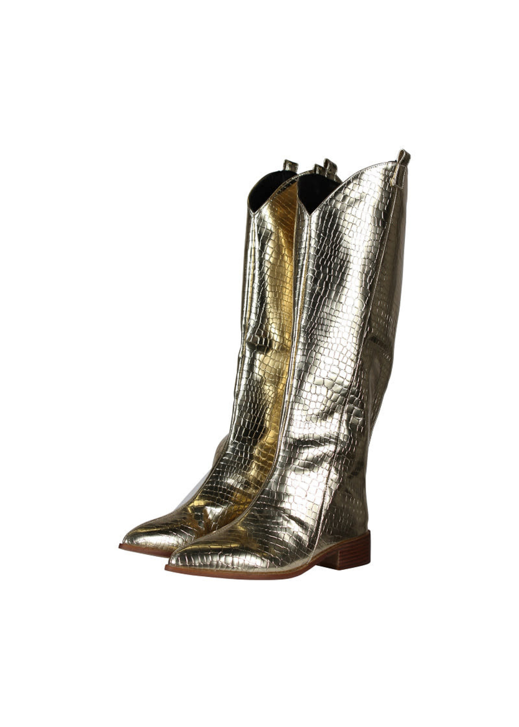 Thetru Dameslaarzen "Metallic Snake" Goud