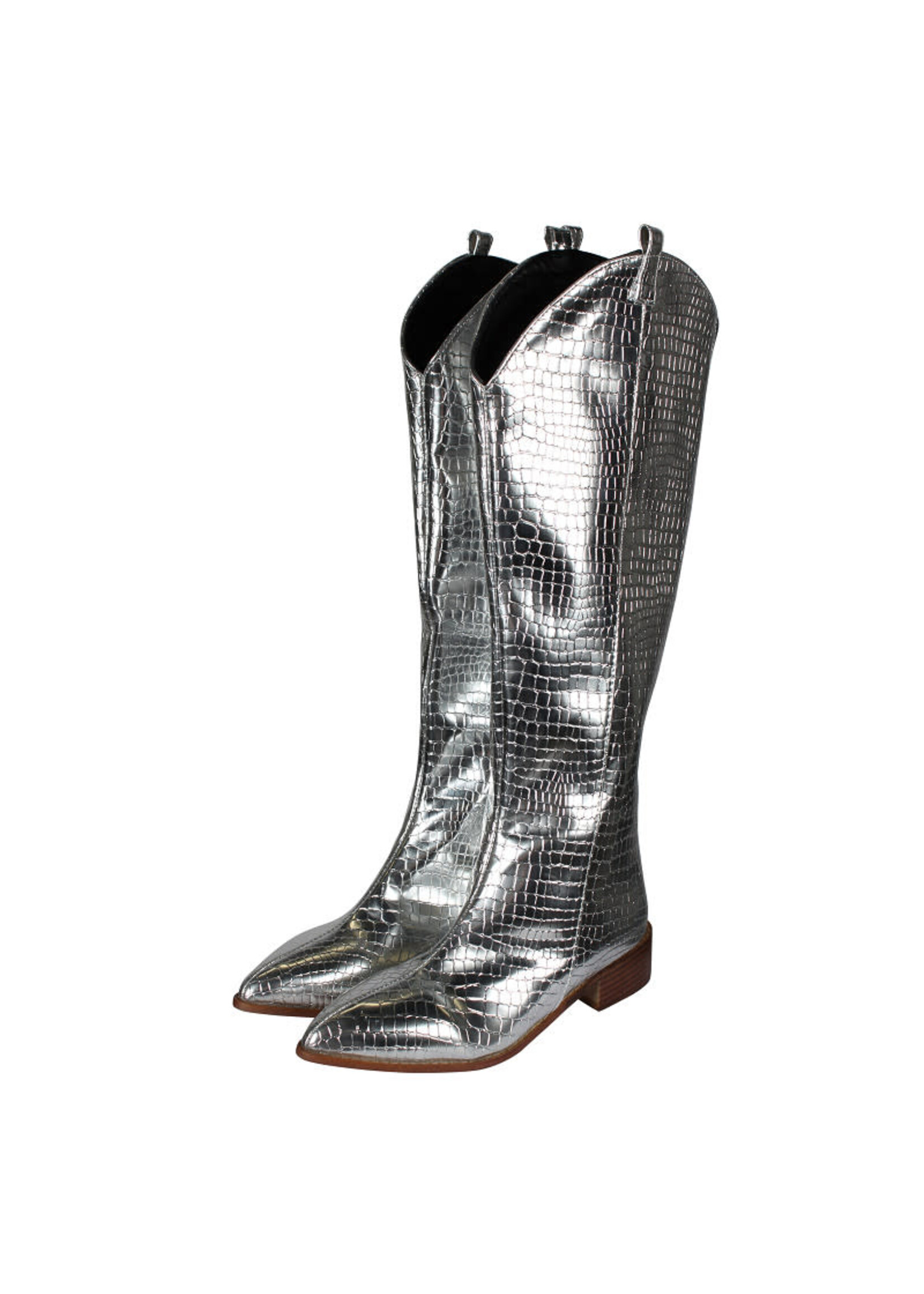 Thetru Dameslaarzen "Metallic Snake" Zilver