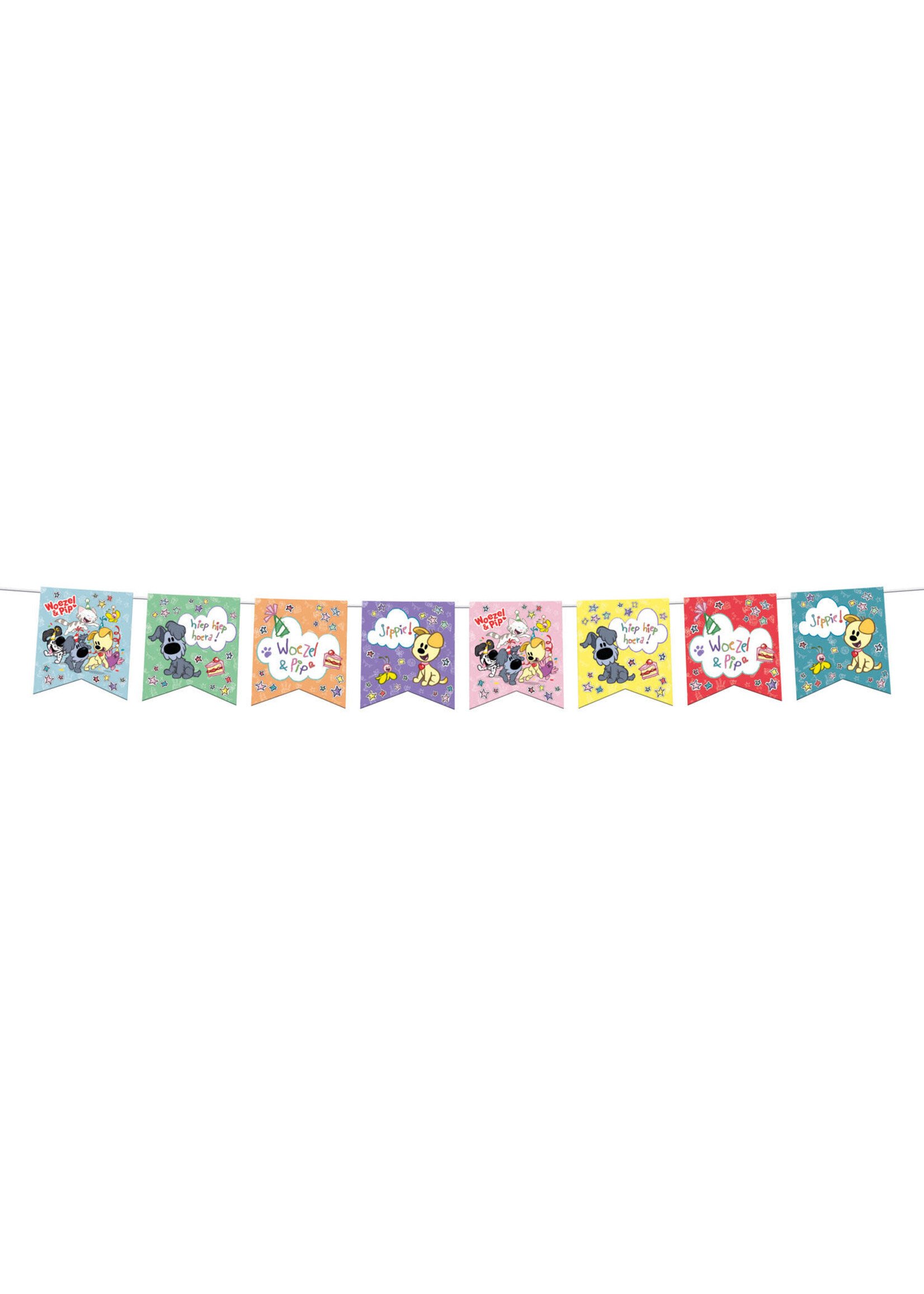 Feestkleding Breda Vlaggenlijn - Woezel en Pip - 4 meter