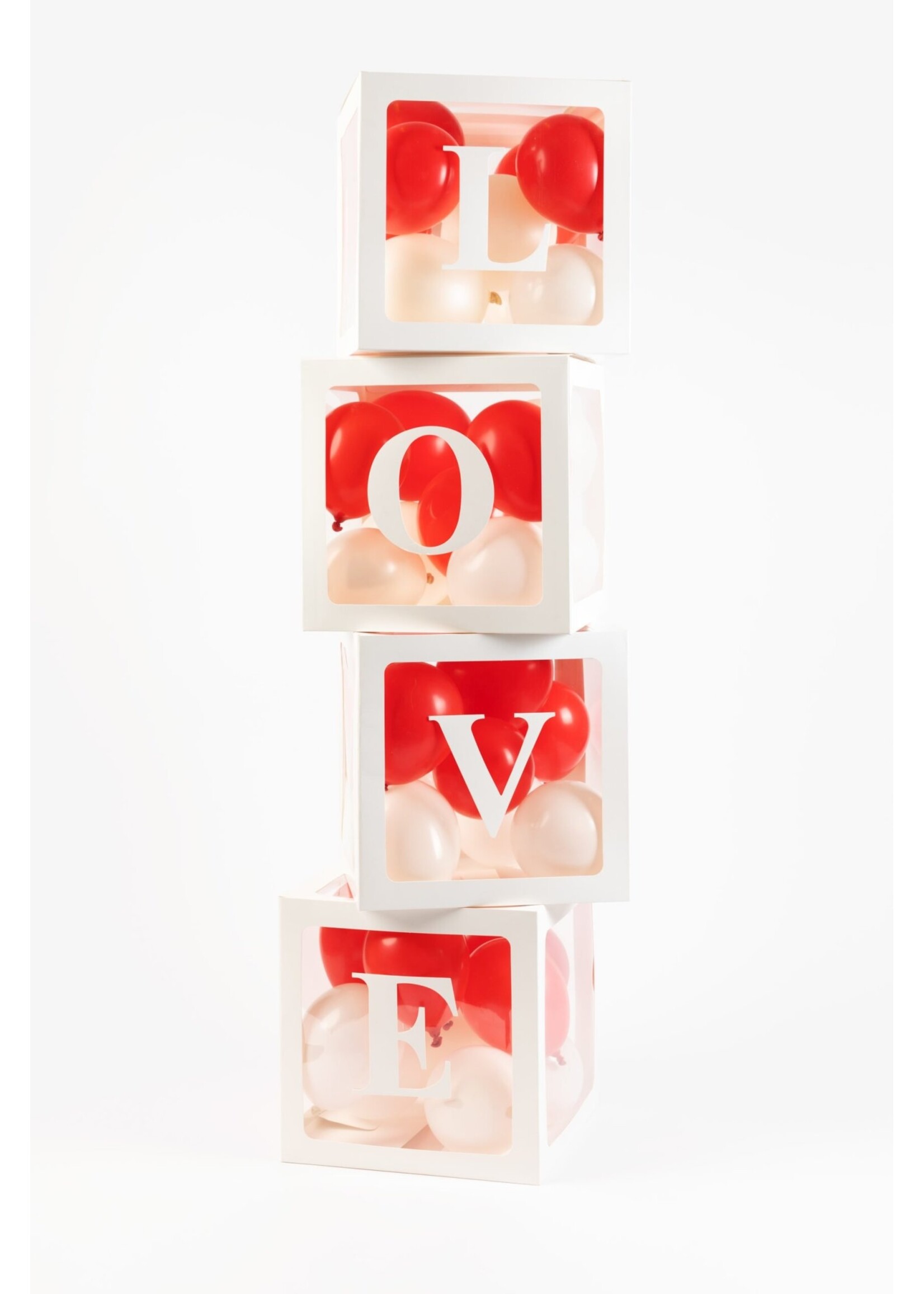 We Fiesta Party 4 Ballondozen