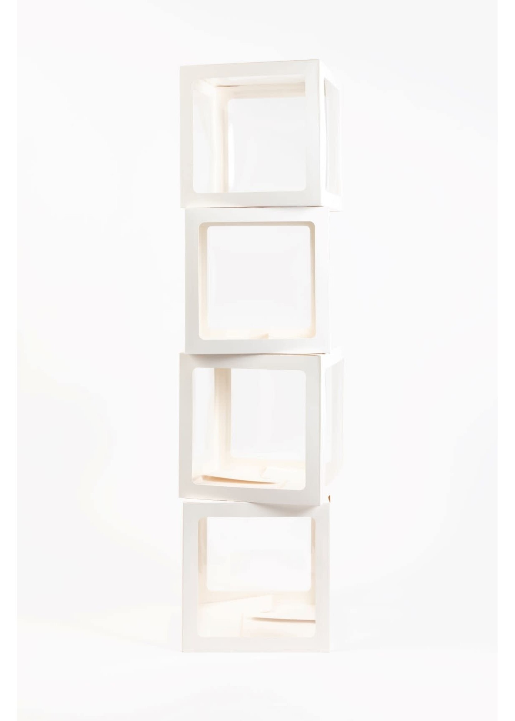 We Fiesta Party 4 Ballondozen