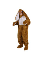 Thetru Paashaas Bruin