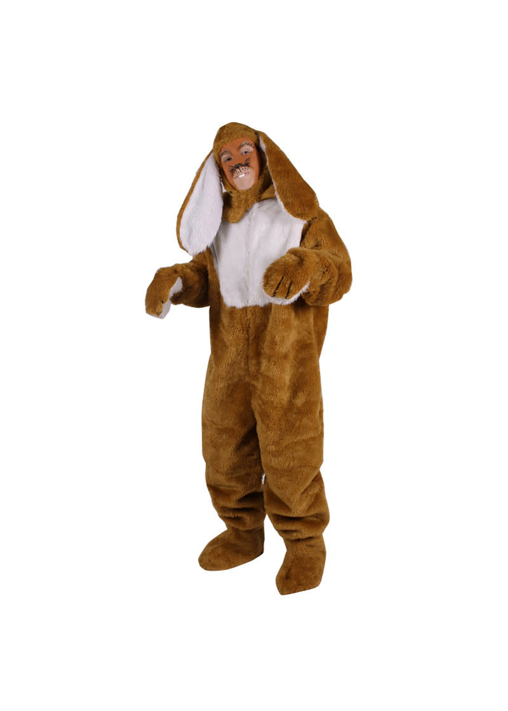 Thetru Paashaas Bruin